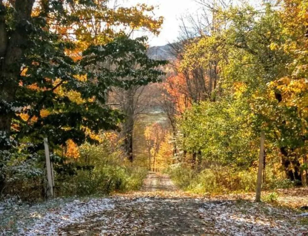 Hiking in Endless Mountain Resort