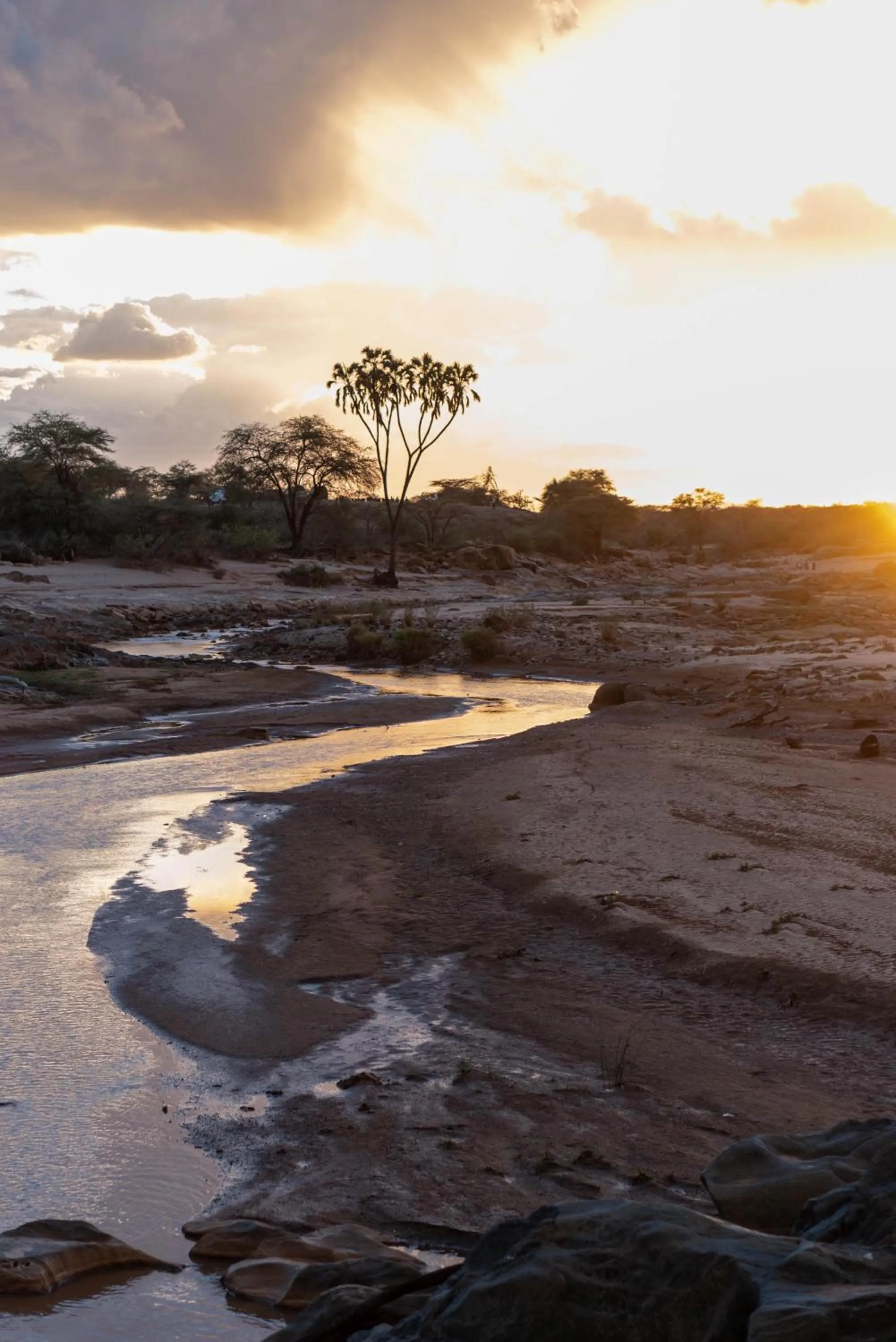 Natural landscape in Sarova Shaba Game Lodge