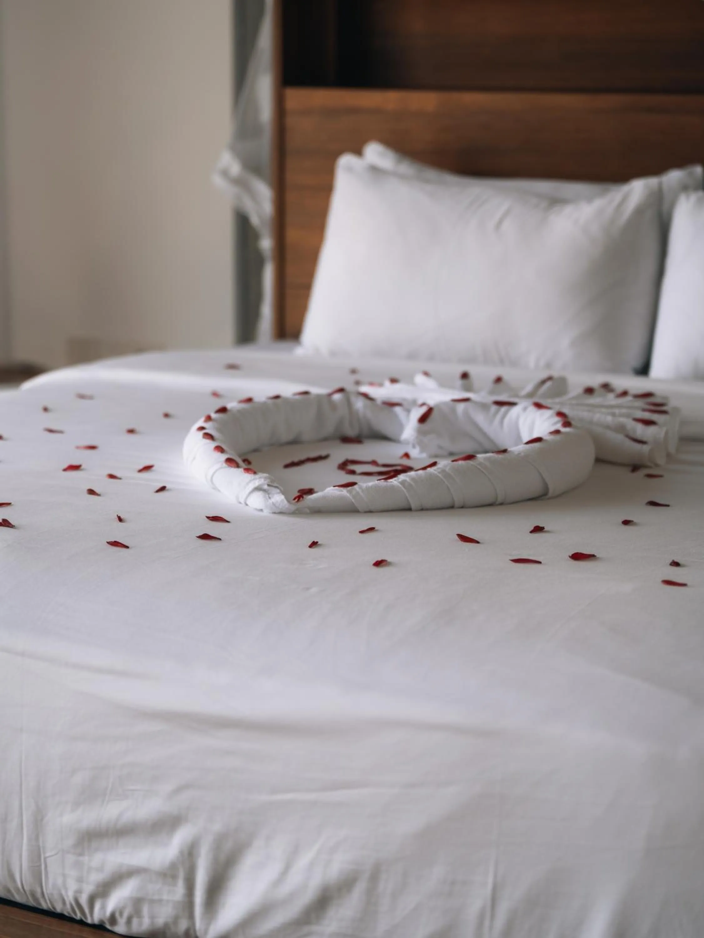 Bed in The Nine Mirissa