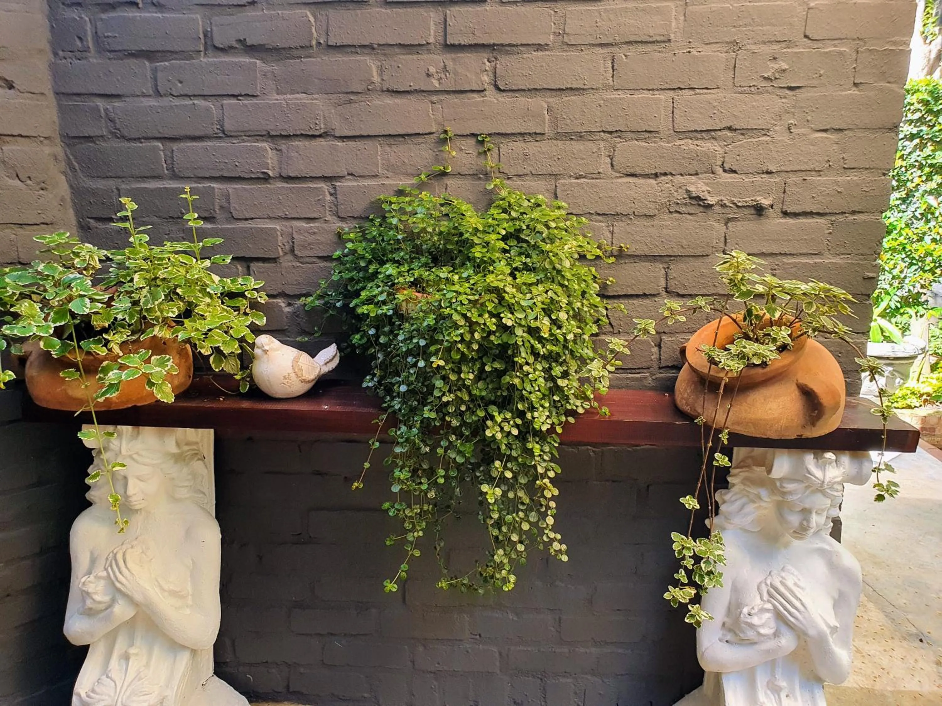 Waterhouse Guest Lodge - Indus Street