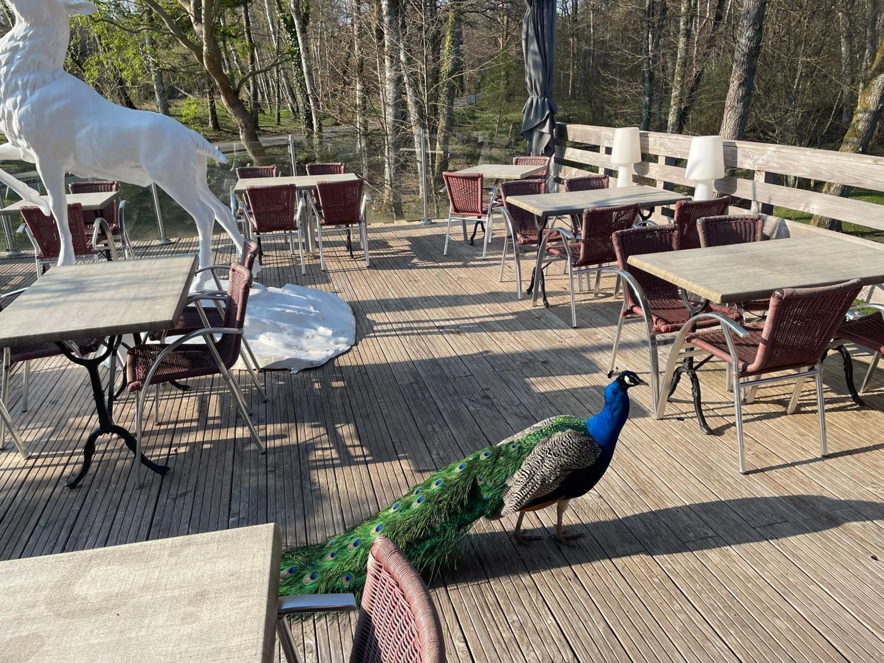 Hotel Moulin de Villiers