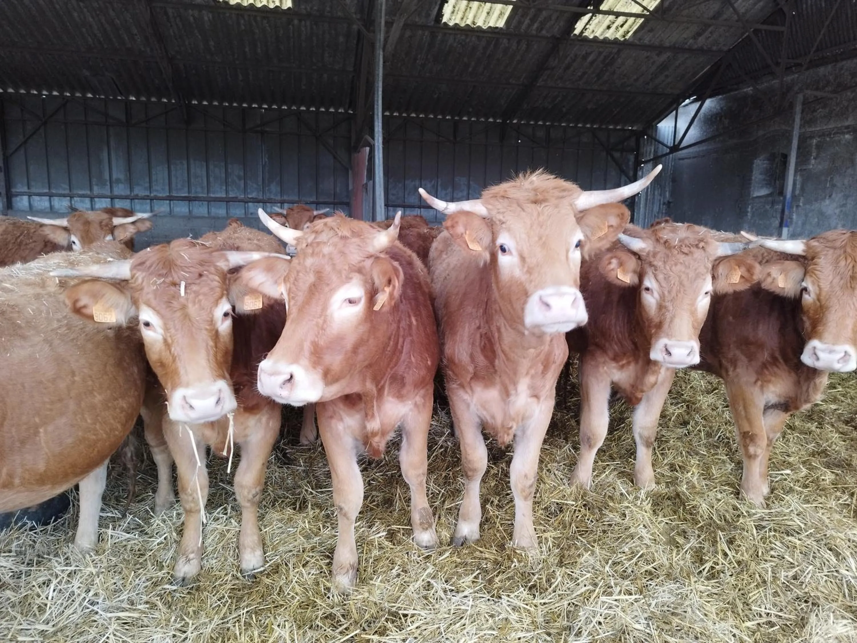 Hotel Moulin de Villiers