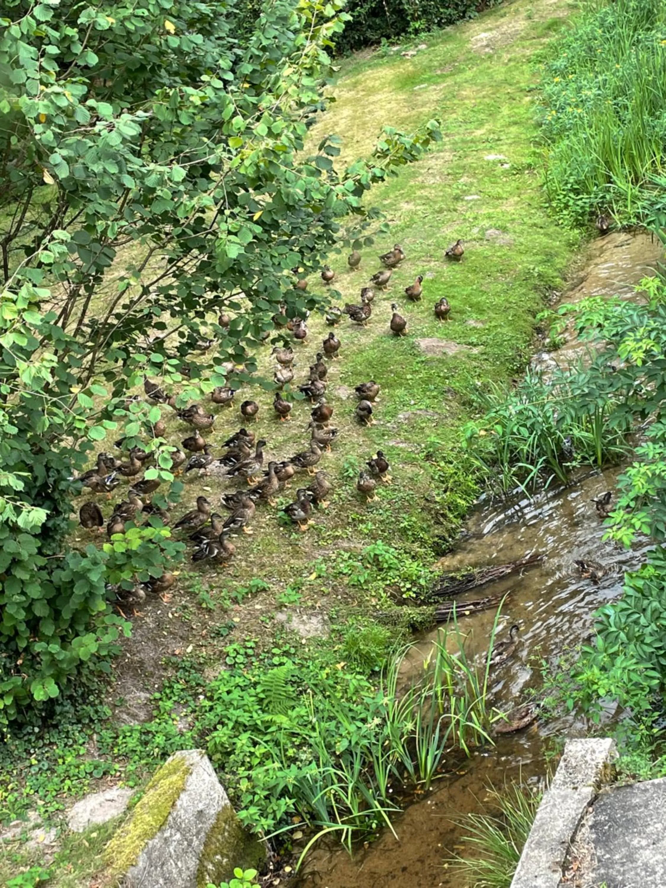 Natural landscape in Hotel Moulin de Villiers