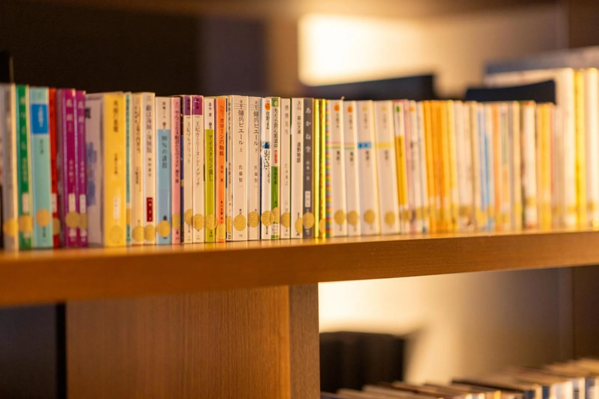 Library in Tsukino HOTEL