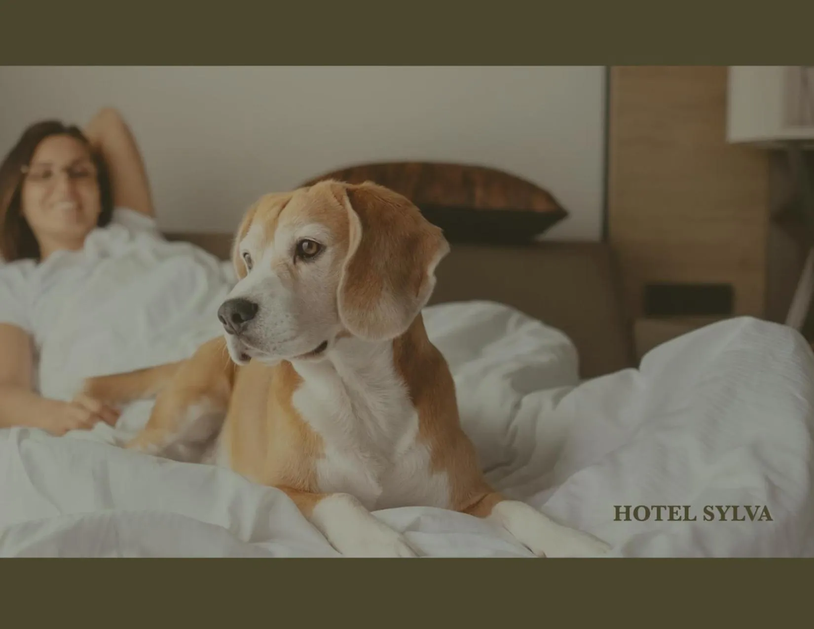 Pets, Bed in Hotel Sylva