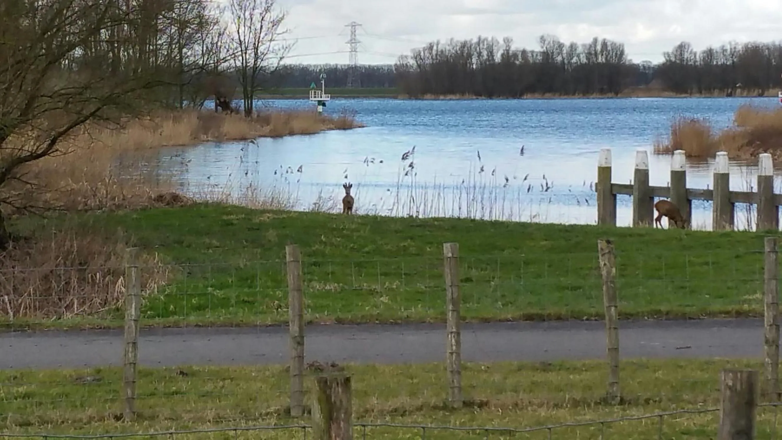 River view in de Brabantse Biesbosch
