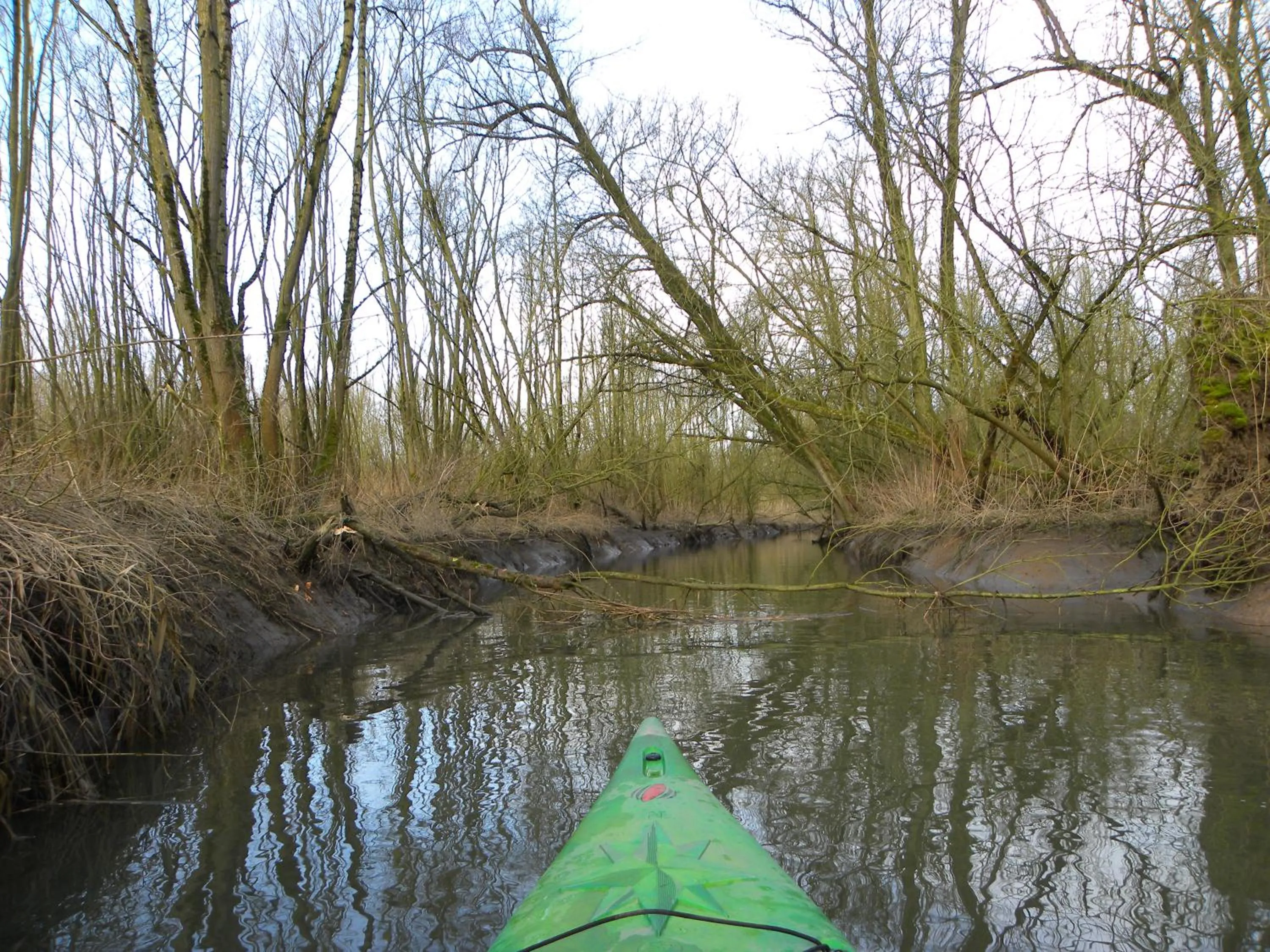 Canoeing in de Brabantse Biesbosch
