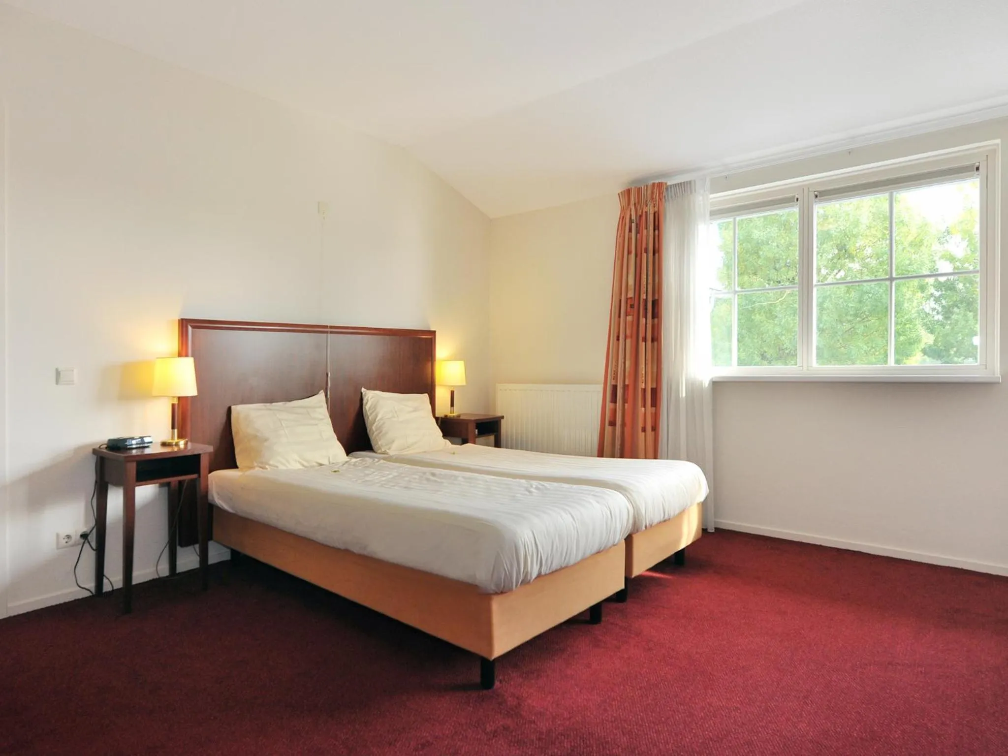 Bed in de Brabantse Biesbosch