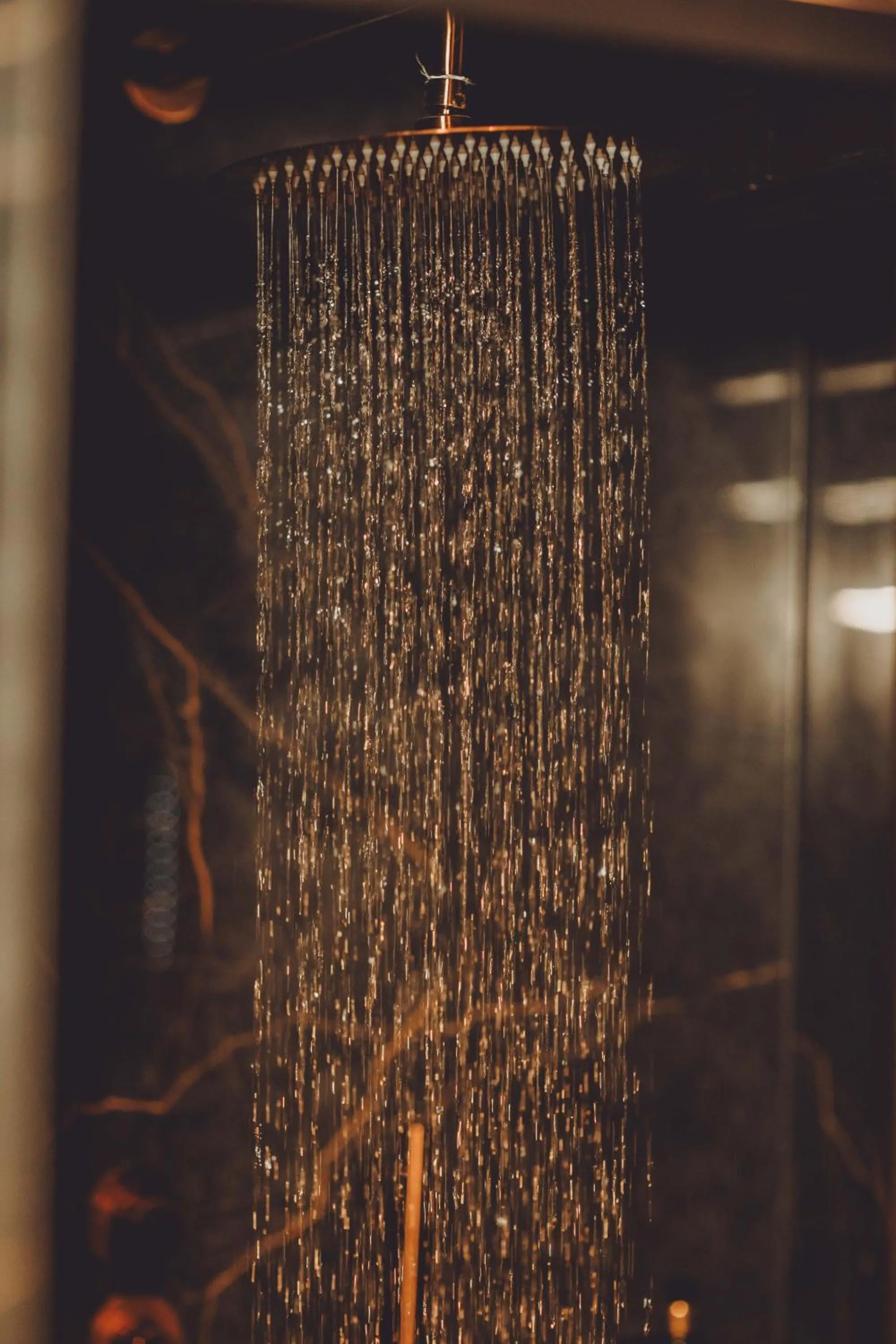 Shower in Hotel de Prince
