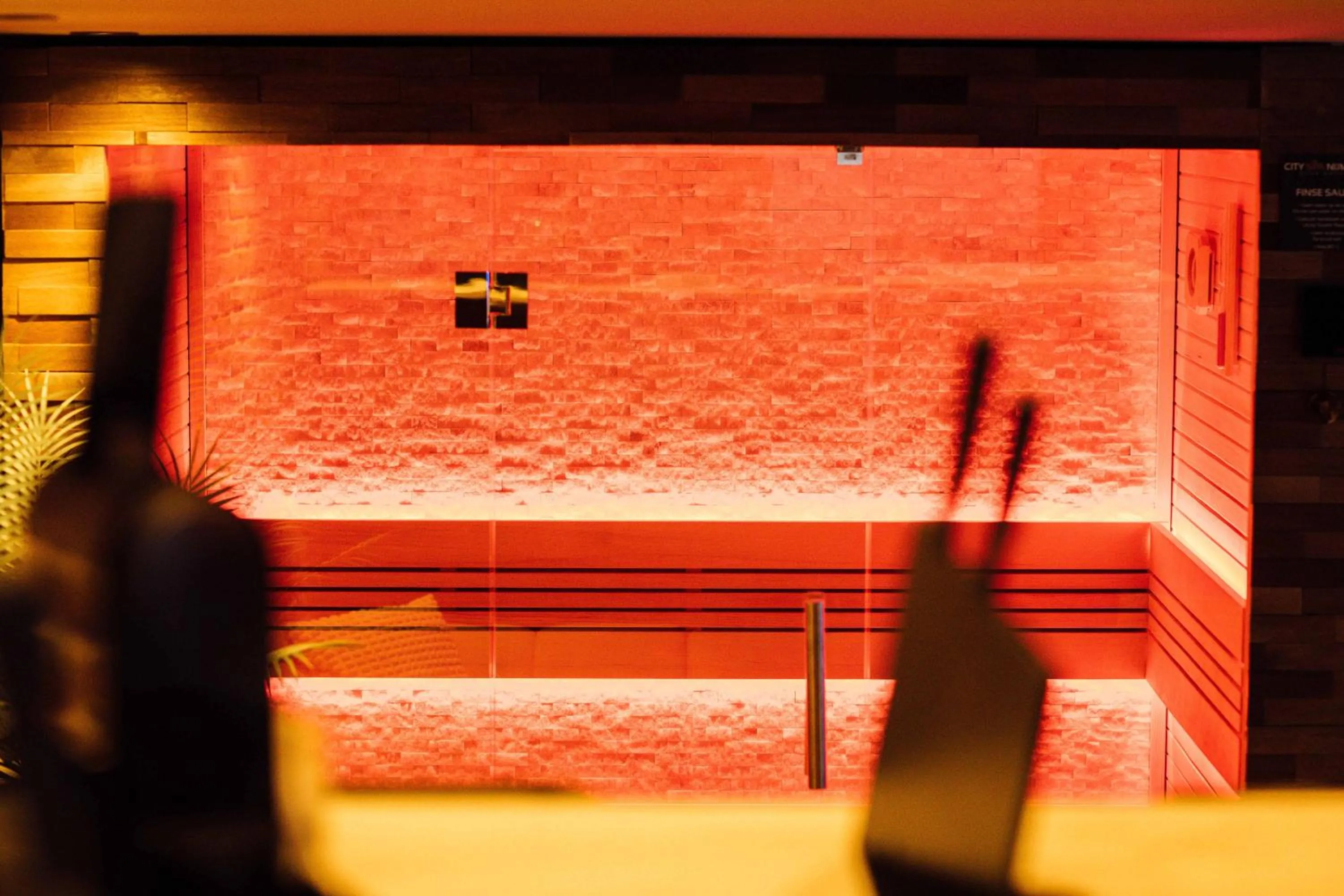 Sauna in Hotel de Prince