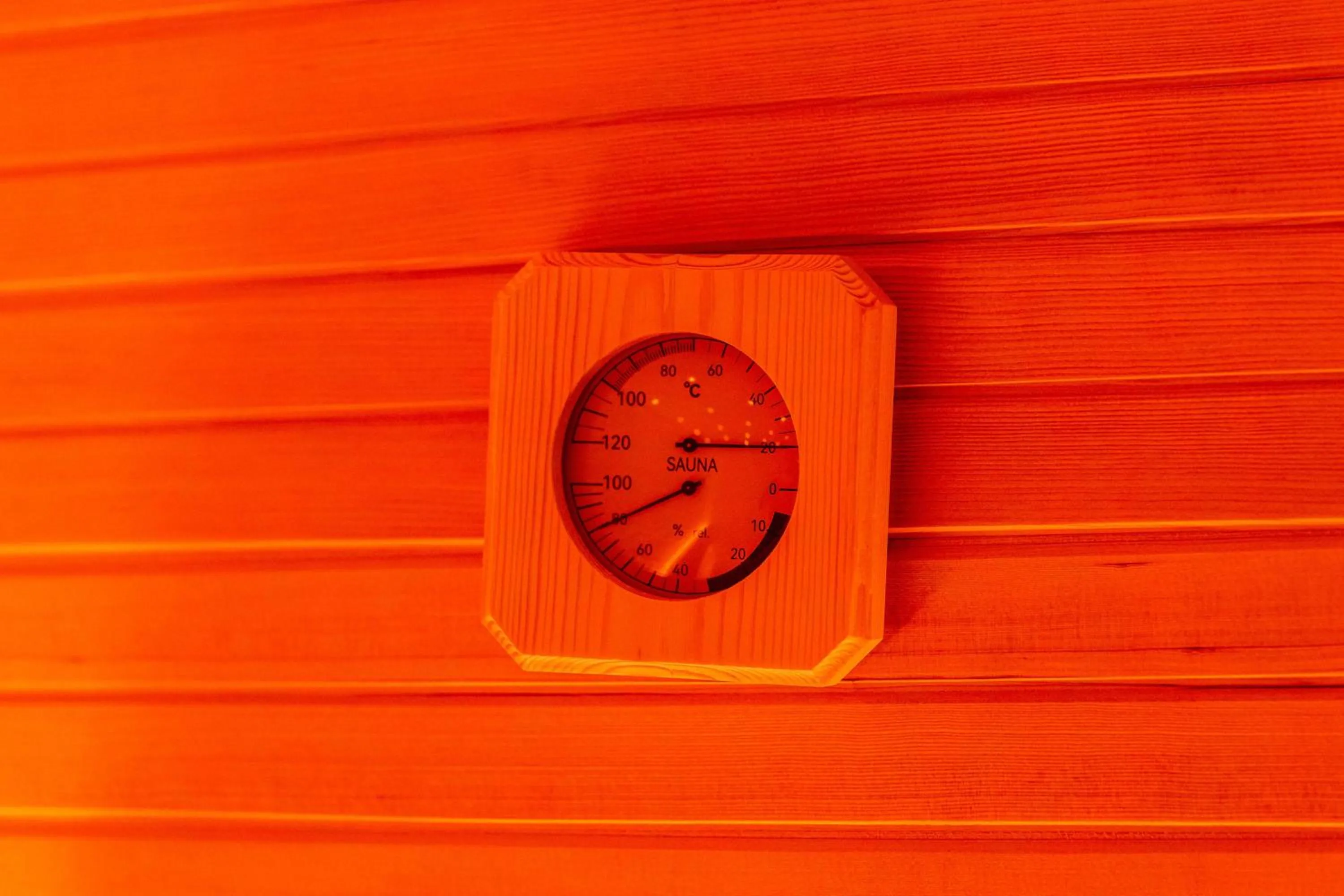 Sauna in Hotel de Prince