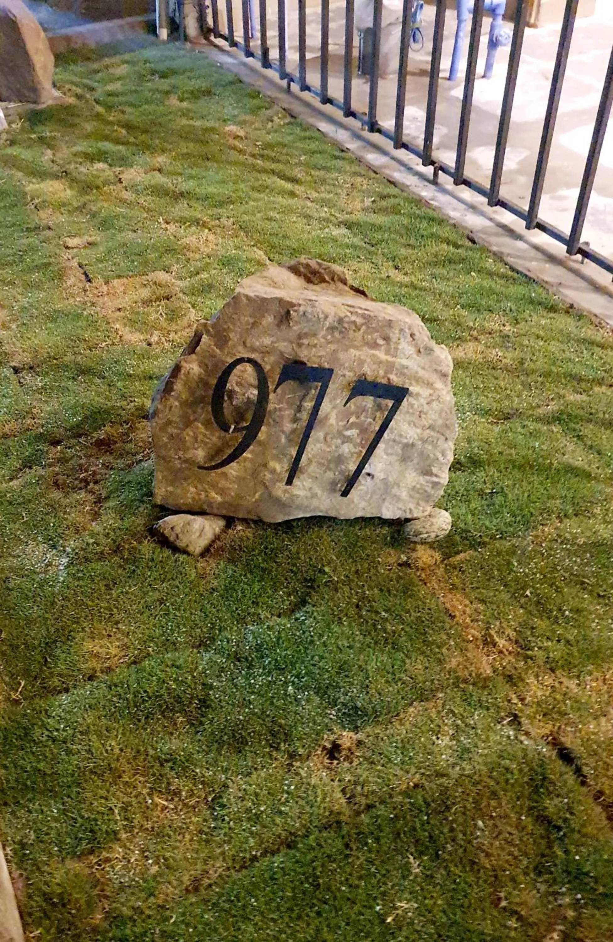 Garden in Riwayat Guest House