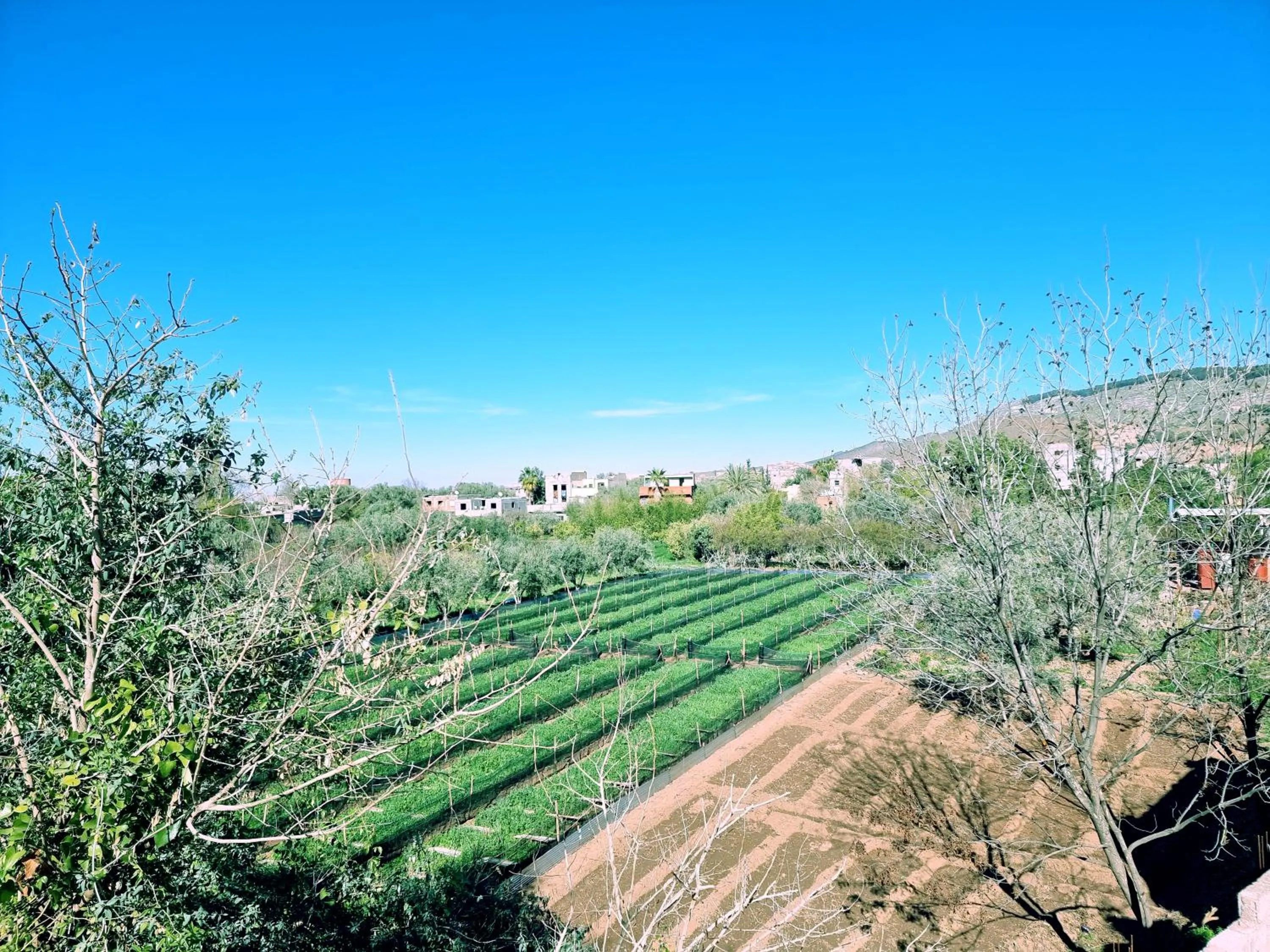 Spring in Hôtel Villa des étoiles