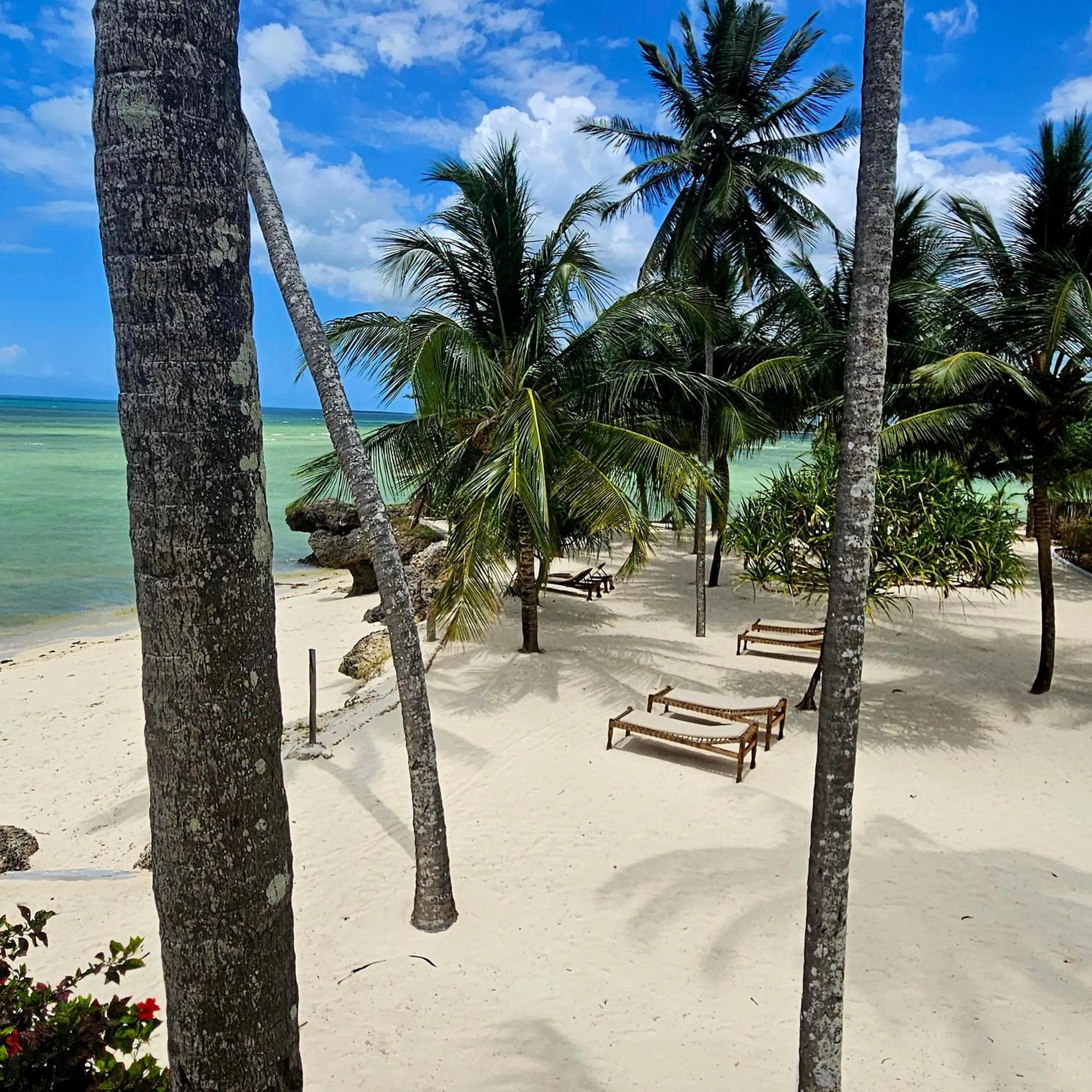 Beach in Maharaja Boutique Hotel Zanzibar