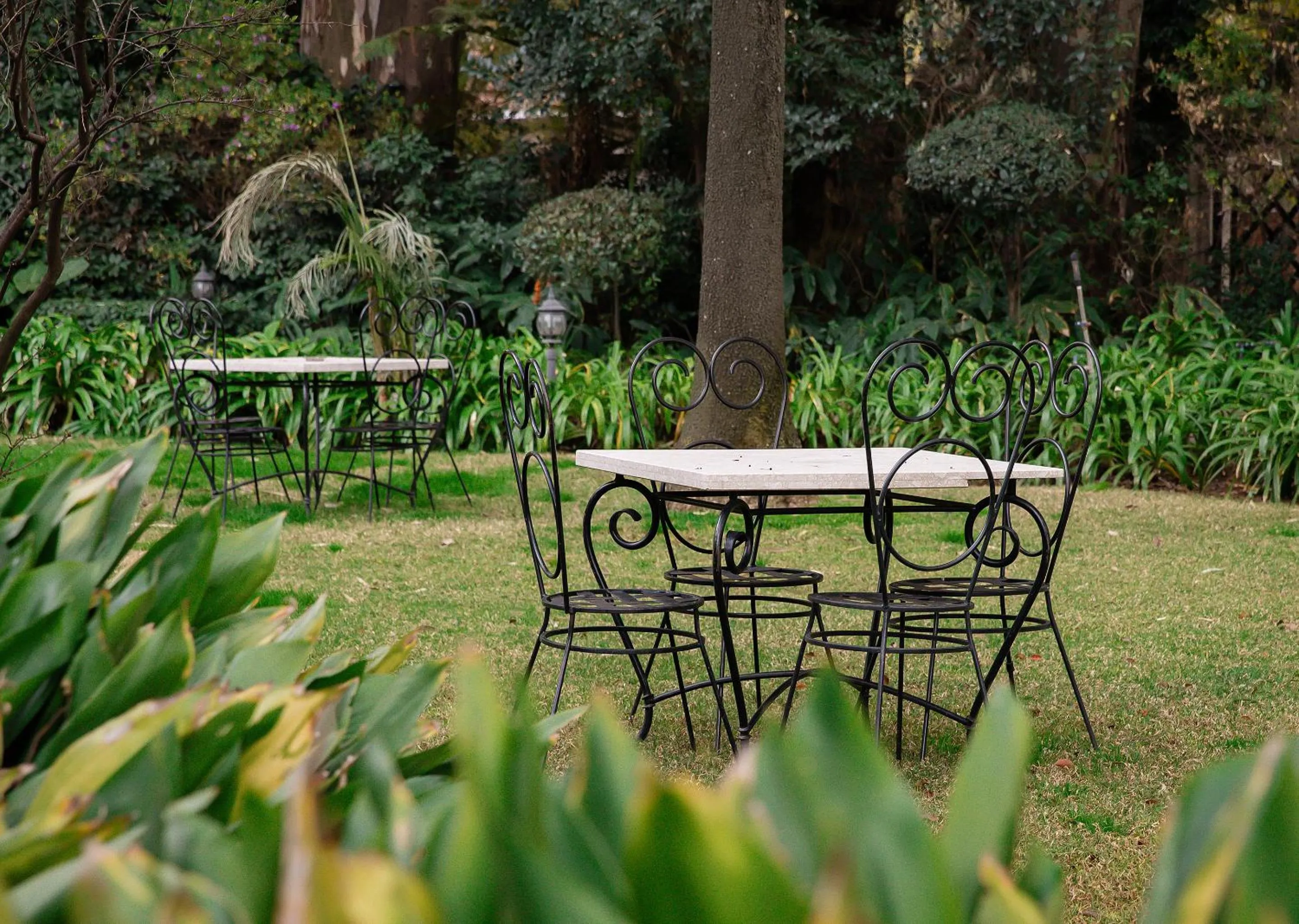 Spring in 10 2nd Avenue Houghton Estate by Dream Resorts