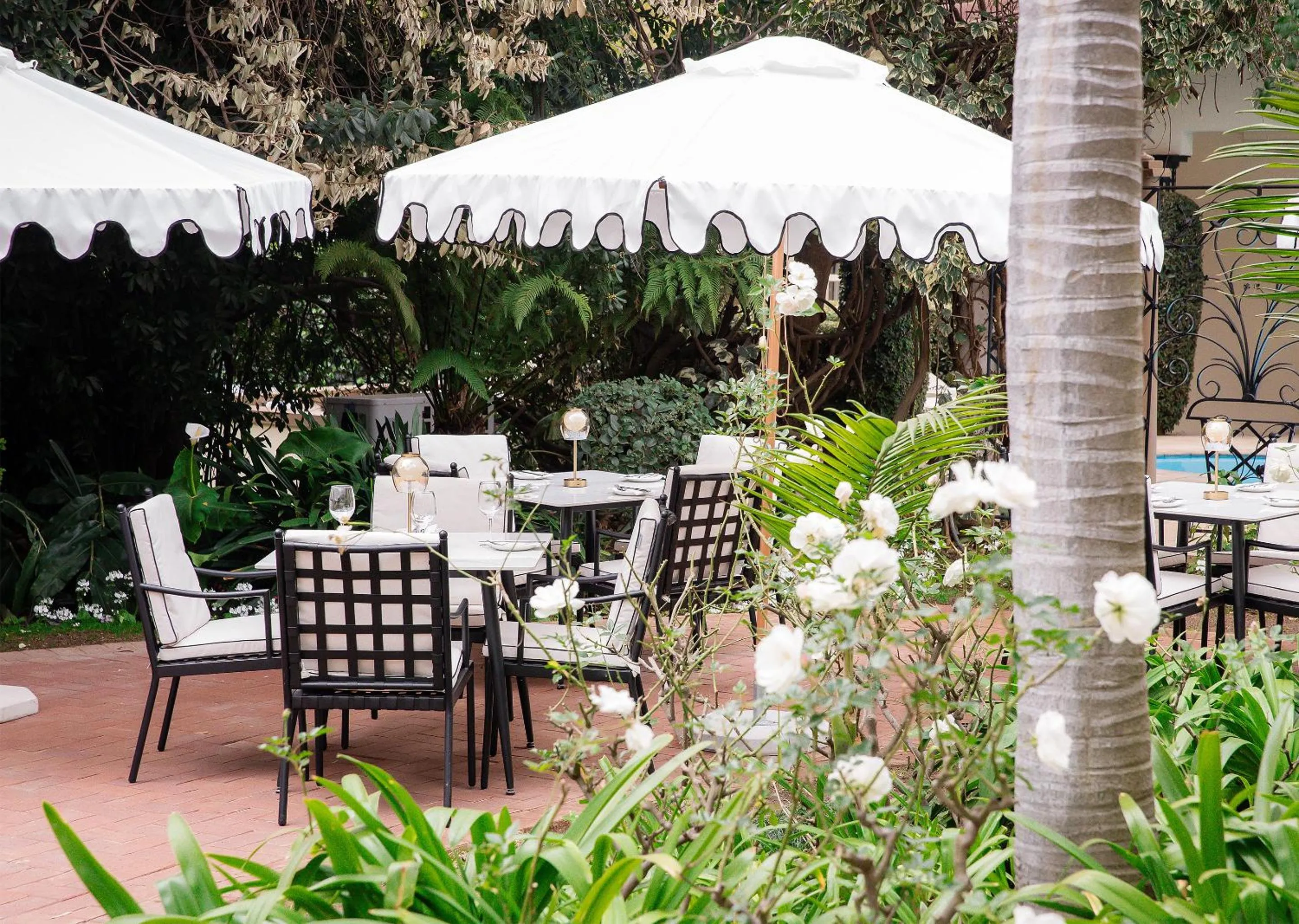 Patio in 10 2nd Avenue Houghton Estate by Dream Resorts