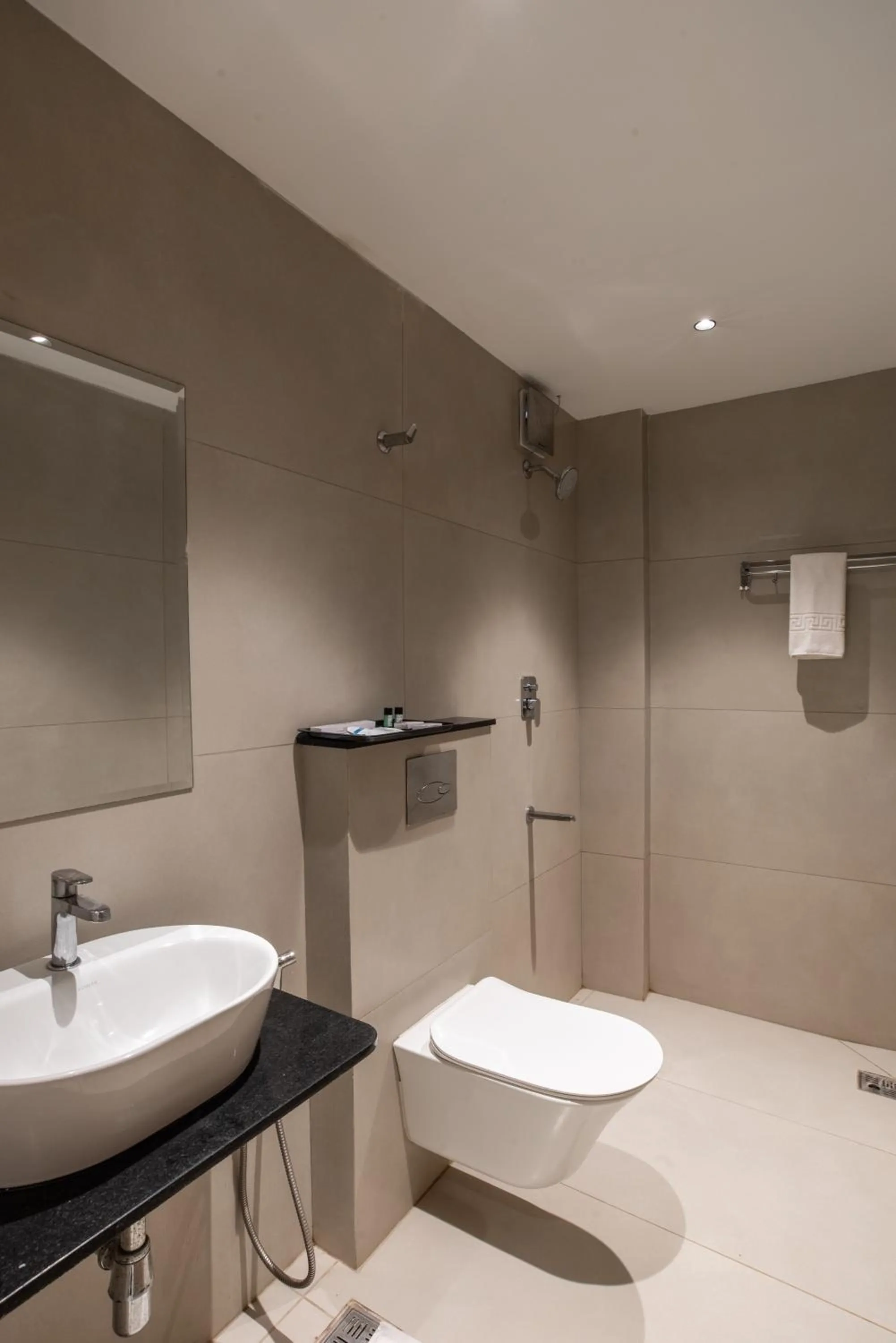 Toilet in Royal Paris