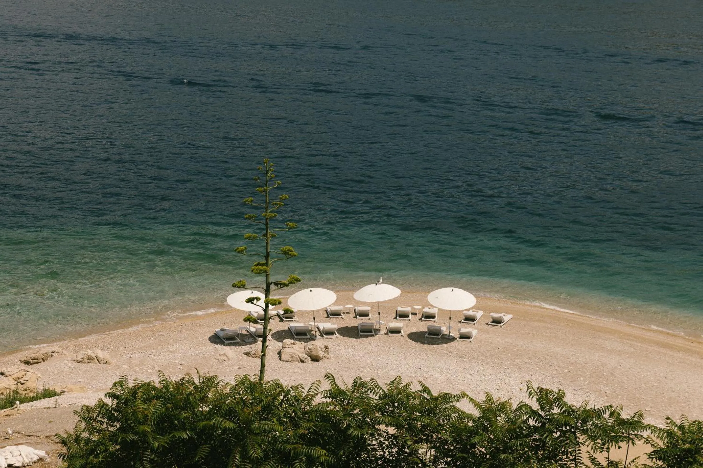 Natural landscape in Mamula Island by Banyan Tree