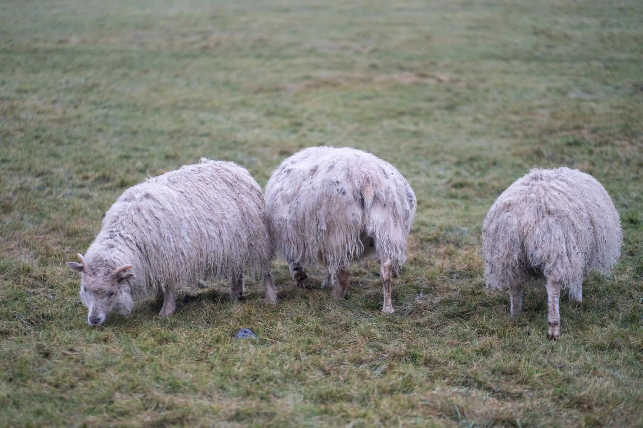 Property building in Gerdi Guesthouse