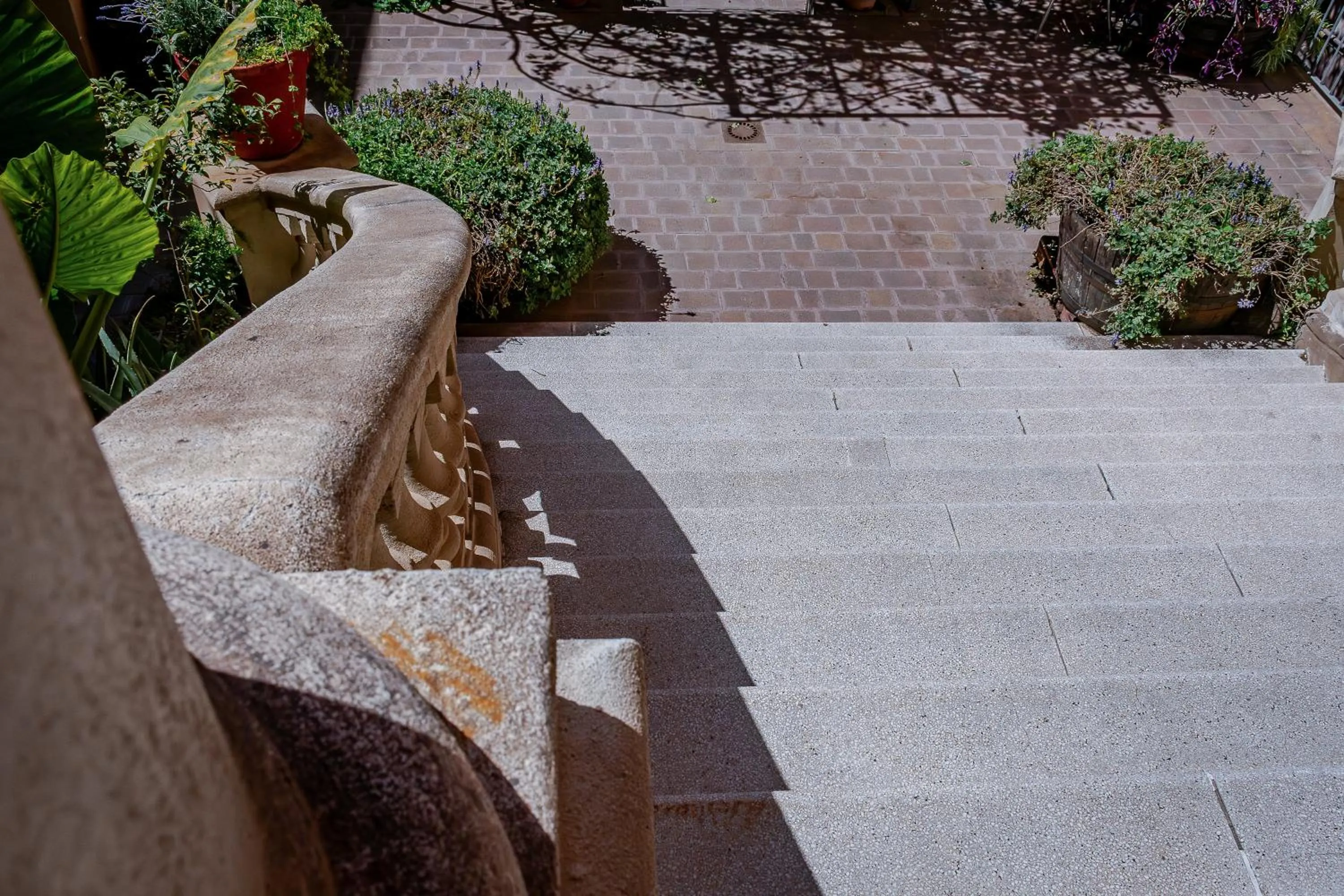 Garden view in Verdi 254