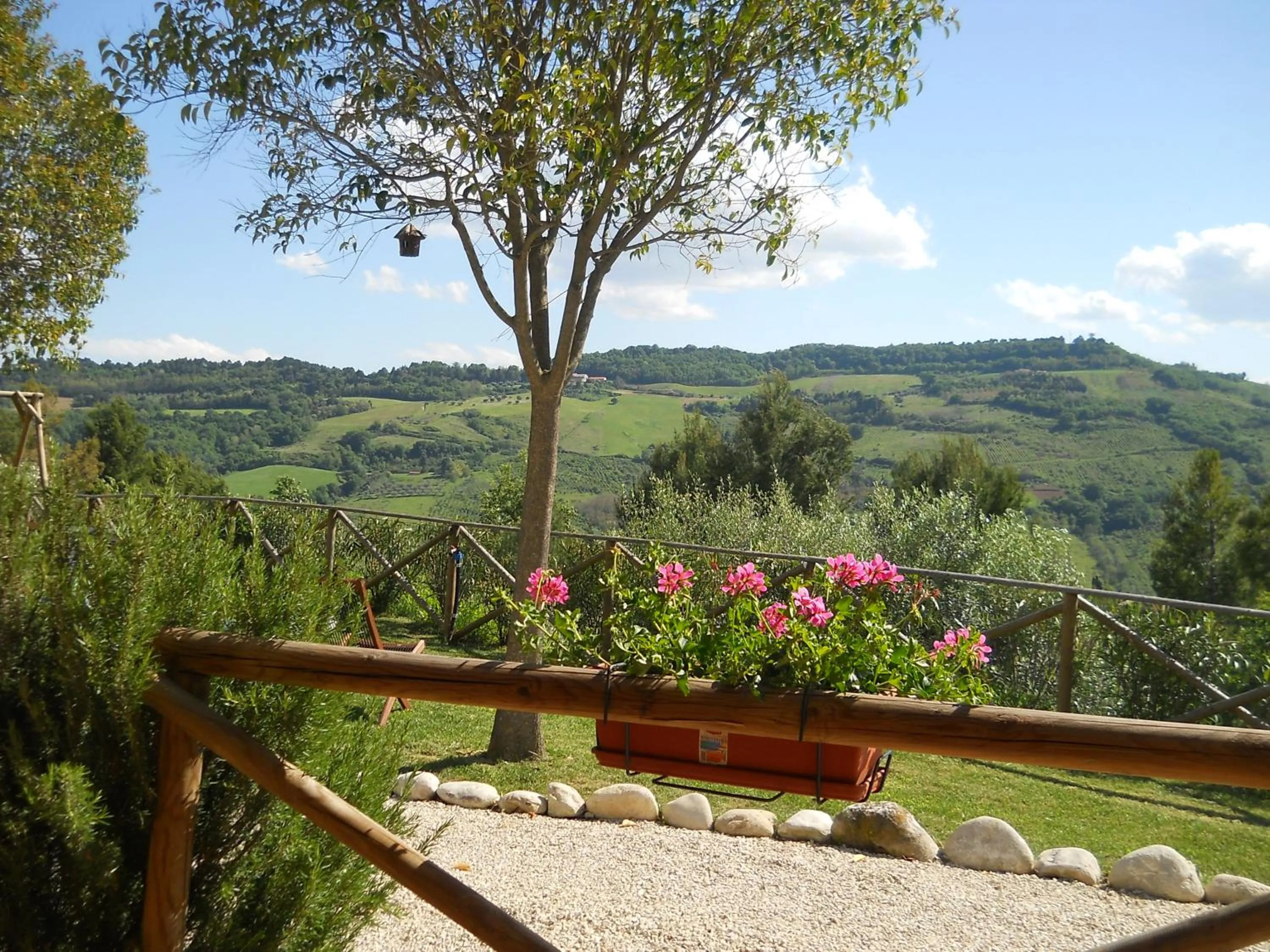 Garden view in B&B Silent Valley