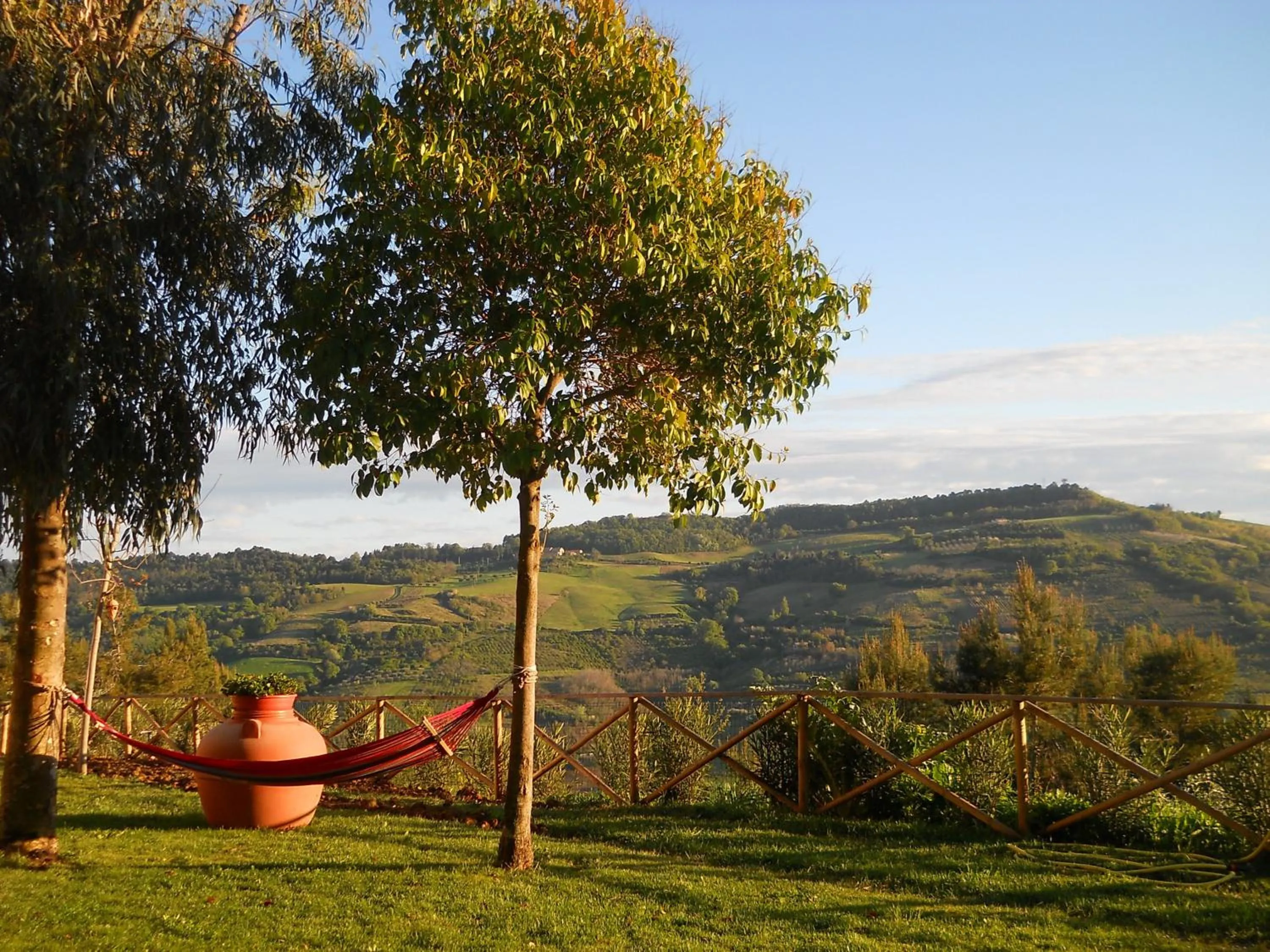 Garden in B&B Silent Valley
