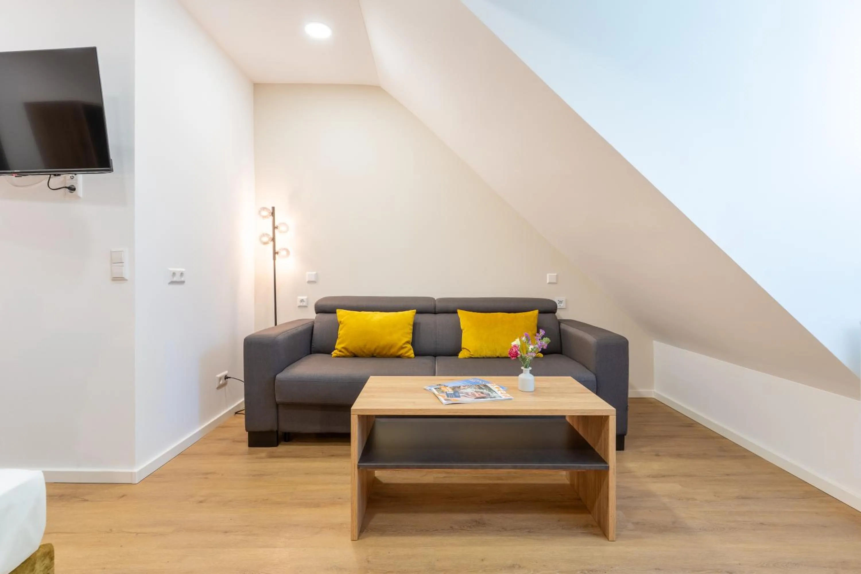 TV and multimedia in Chérisy Hotel Konstanz - Self Check-in Only