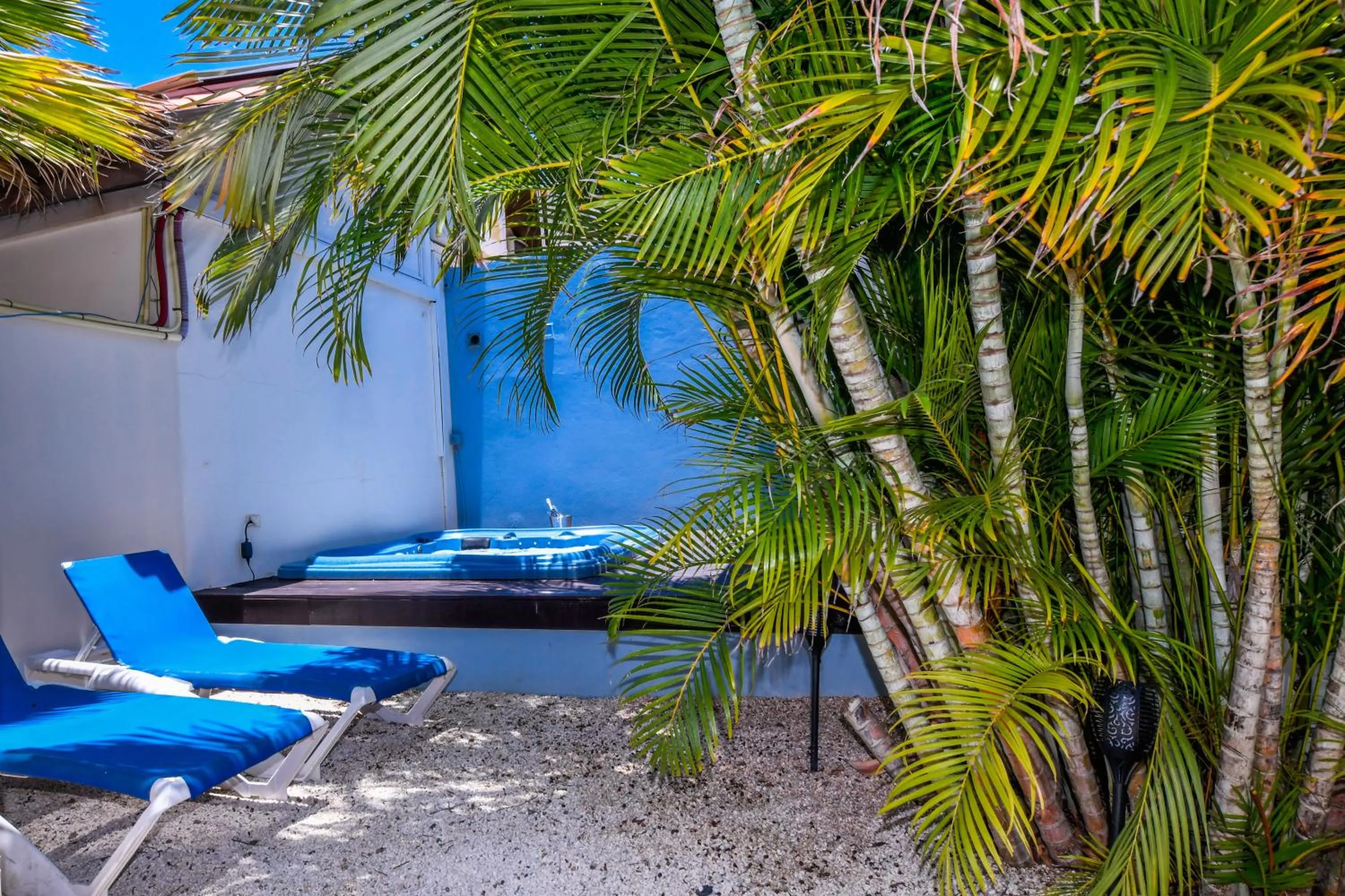 Garden in Boutique Hotel Swiss Paradise Aruba Villas and Suites