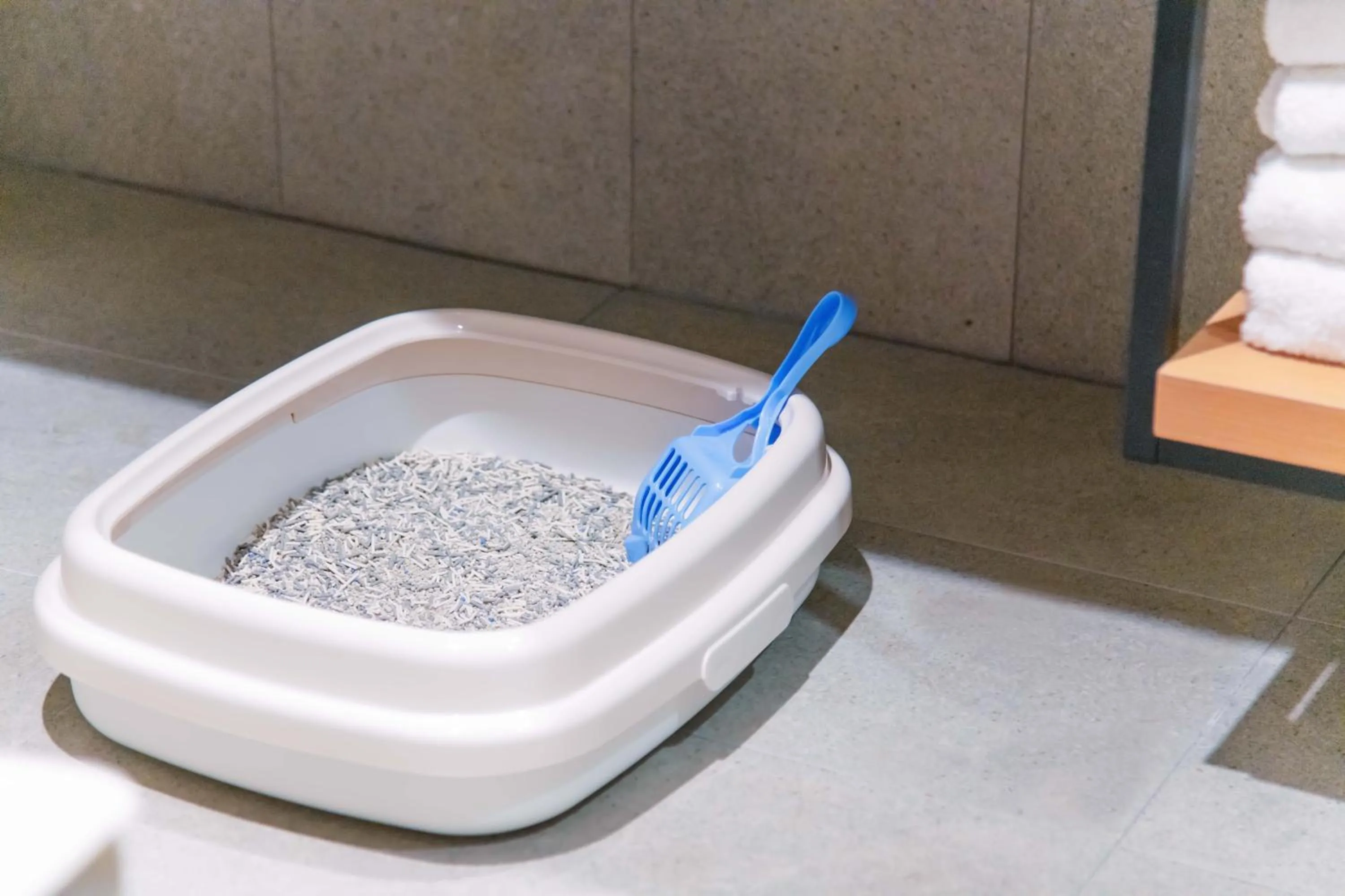 Toilet in voco Chiayi by IHG