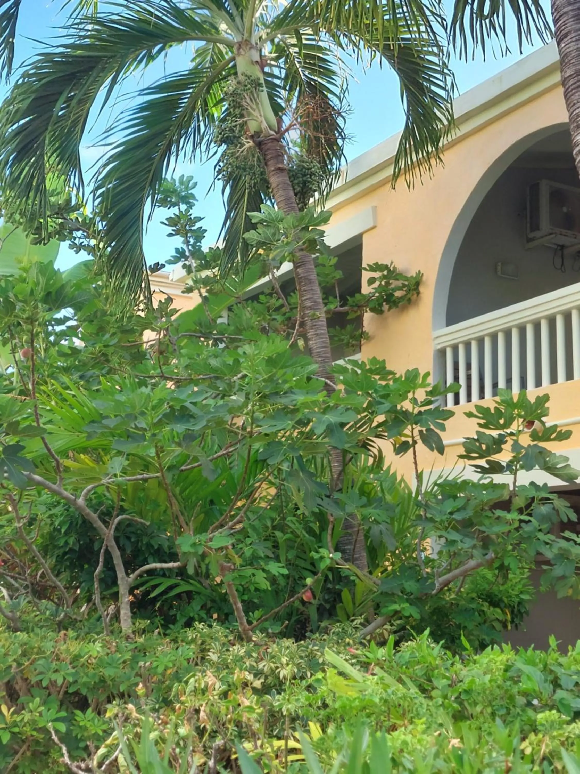 Property building in Northshore Seaside Suites