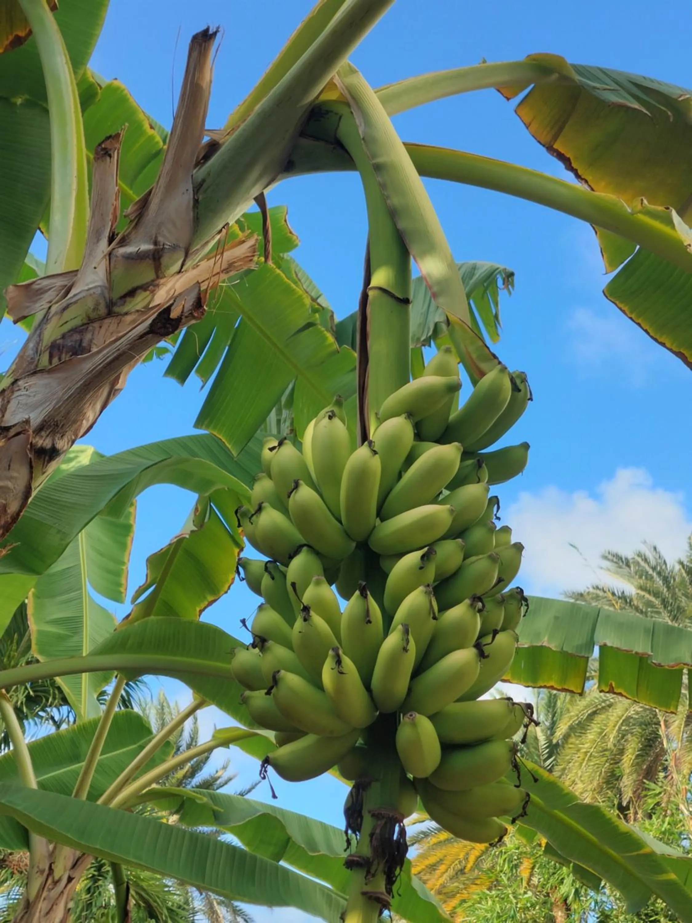 Natural landscape in Northshore Seaside Suites