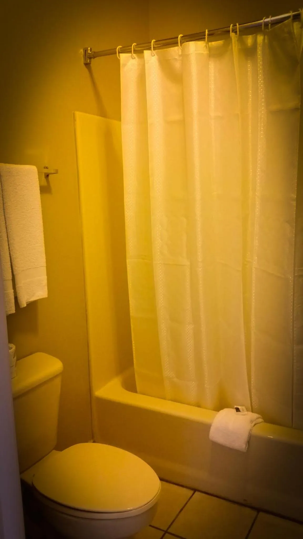 Toilet in La Copa Inn Brownsville