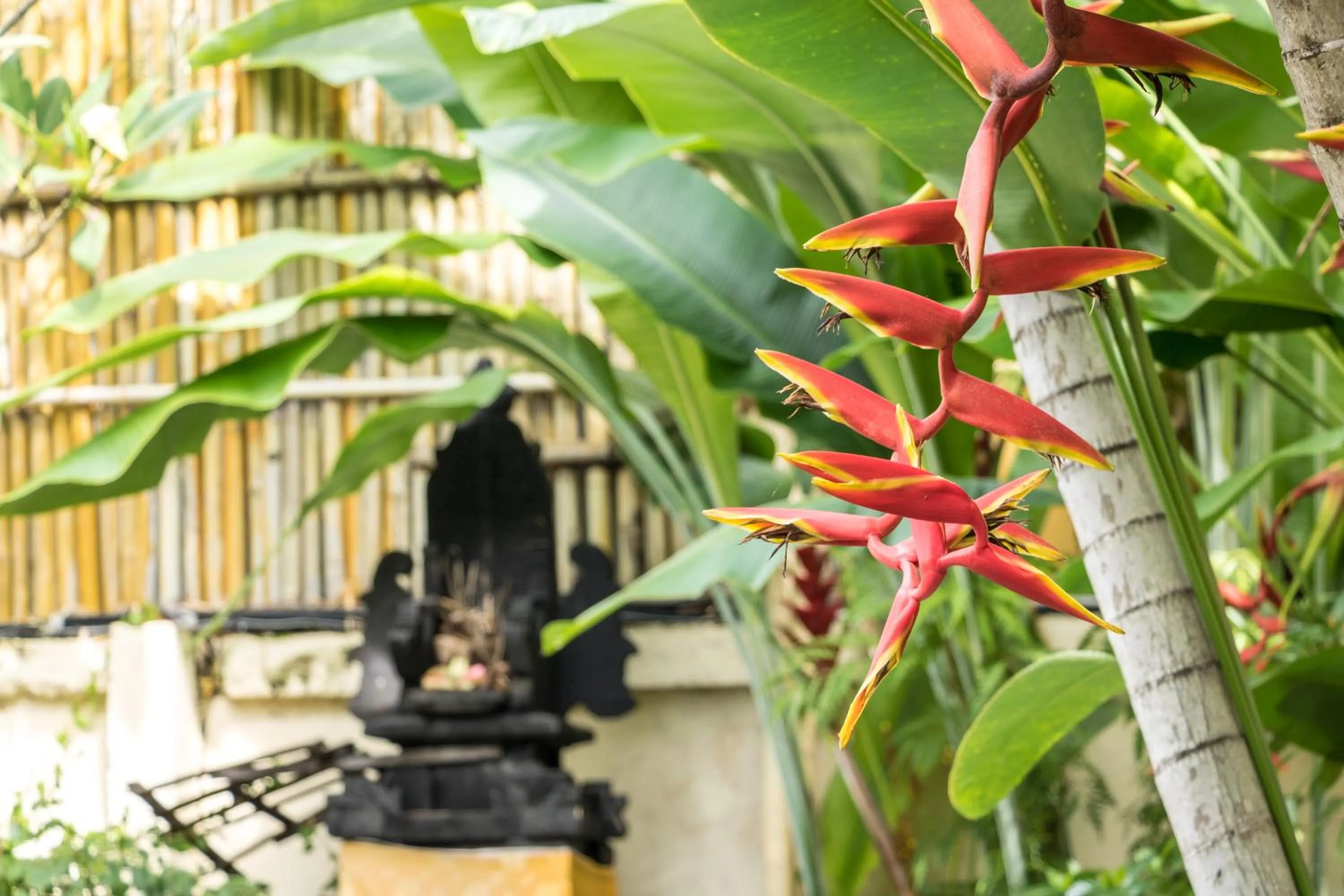 Garden view in Villa Seriska Seminyak