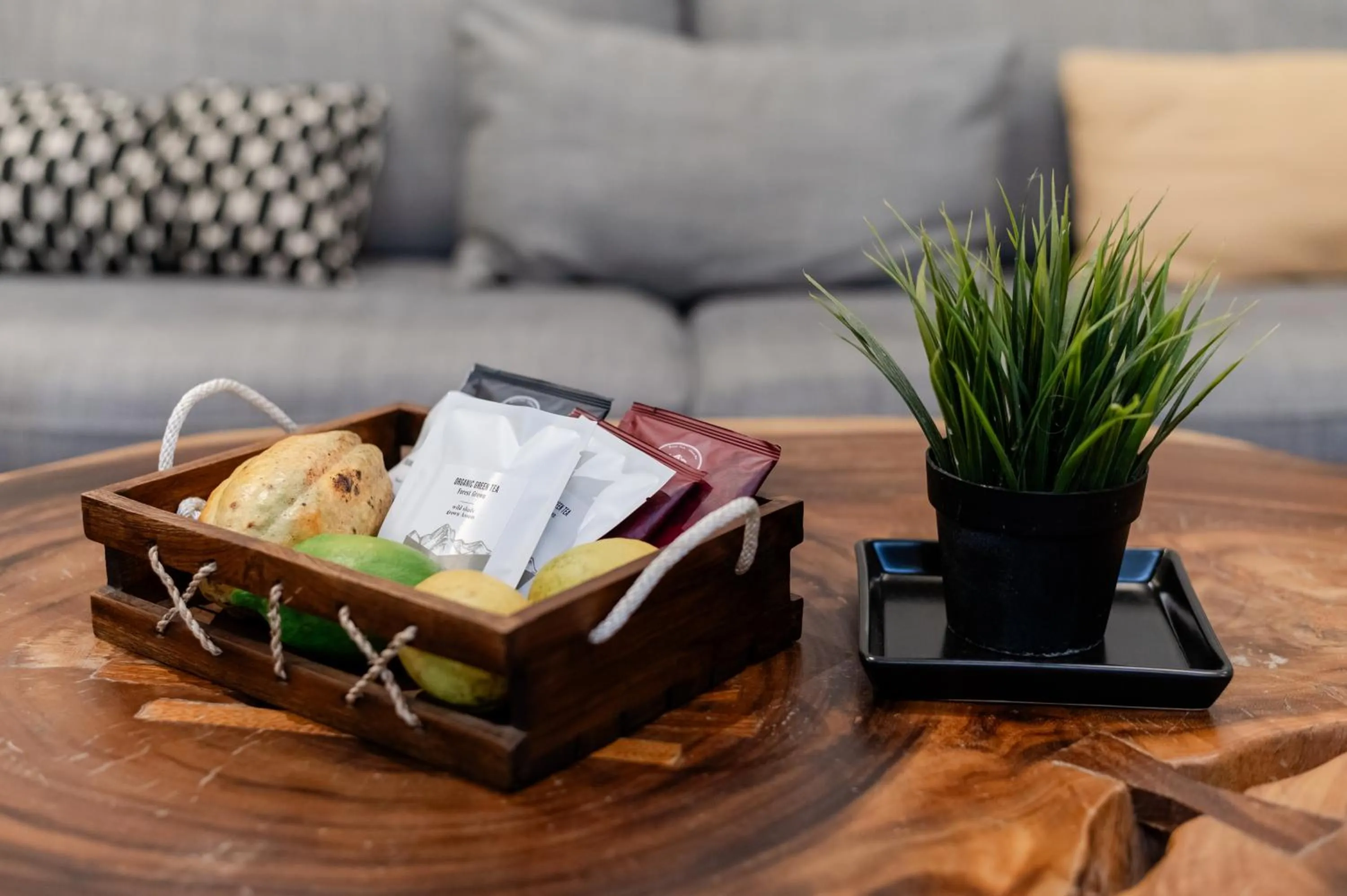 Living room in Tolani Southgate Villa Chiang Mai