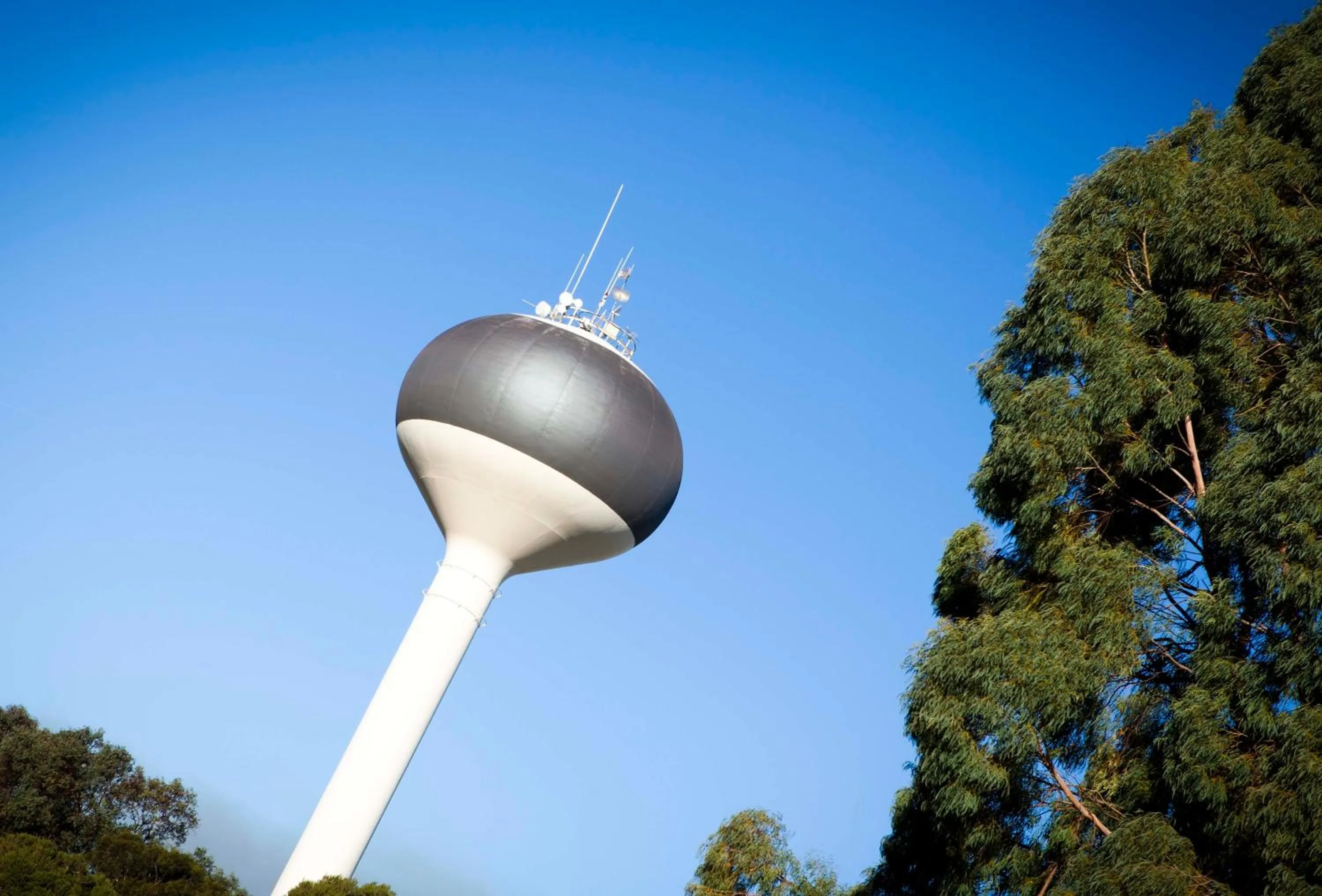 Area and facilities in Strayleaves Caravan Park