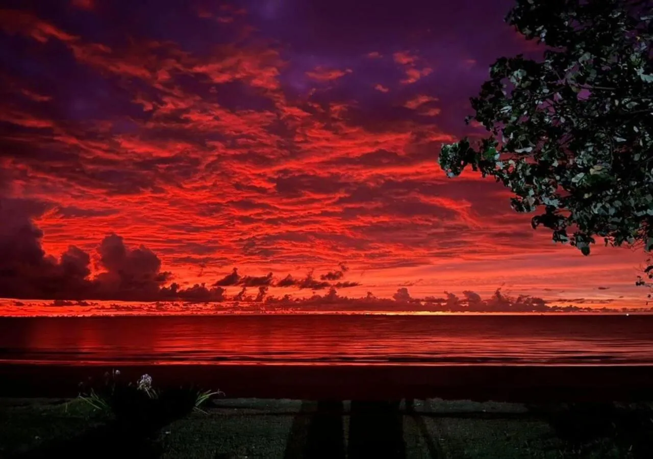 Natural landscape in Borneo Beach Villa & Suite