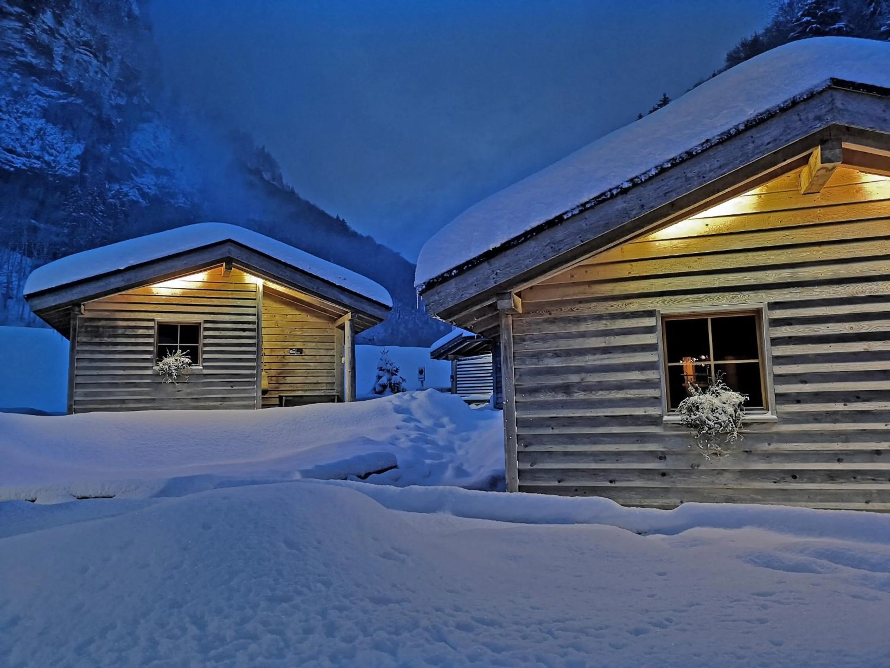 Natural landscape in Hüttenhotel Husky Lodge