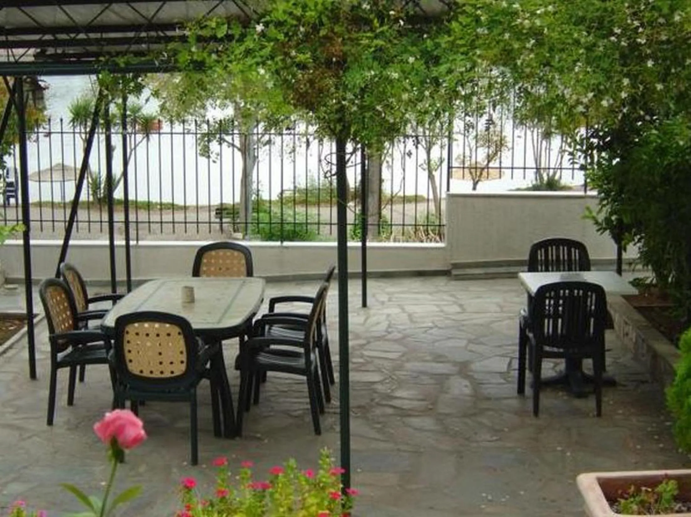 Garden in Morfeas Hotel