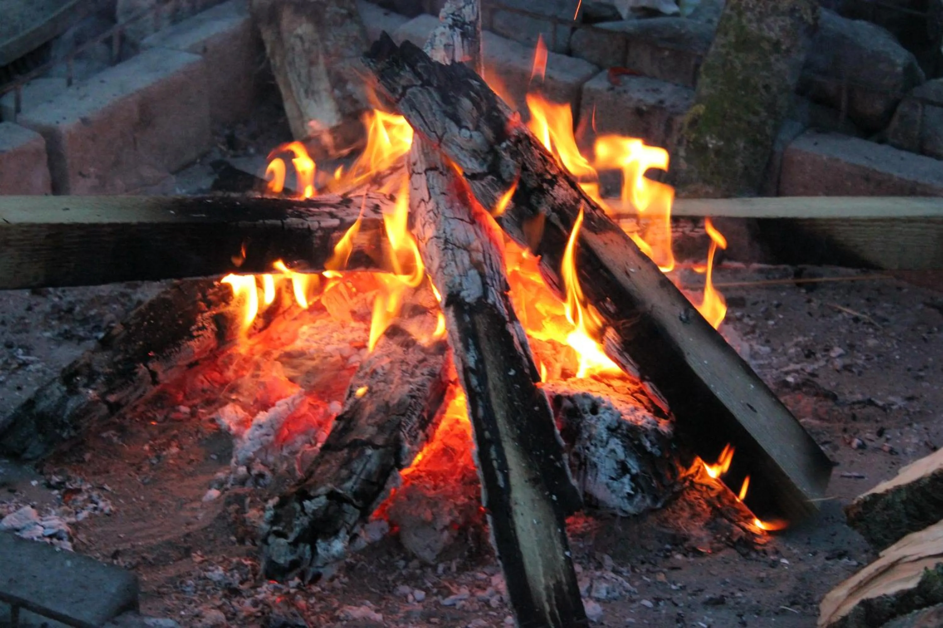 Restaurant/places to eat in B&B Welgelegen