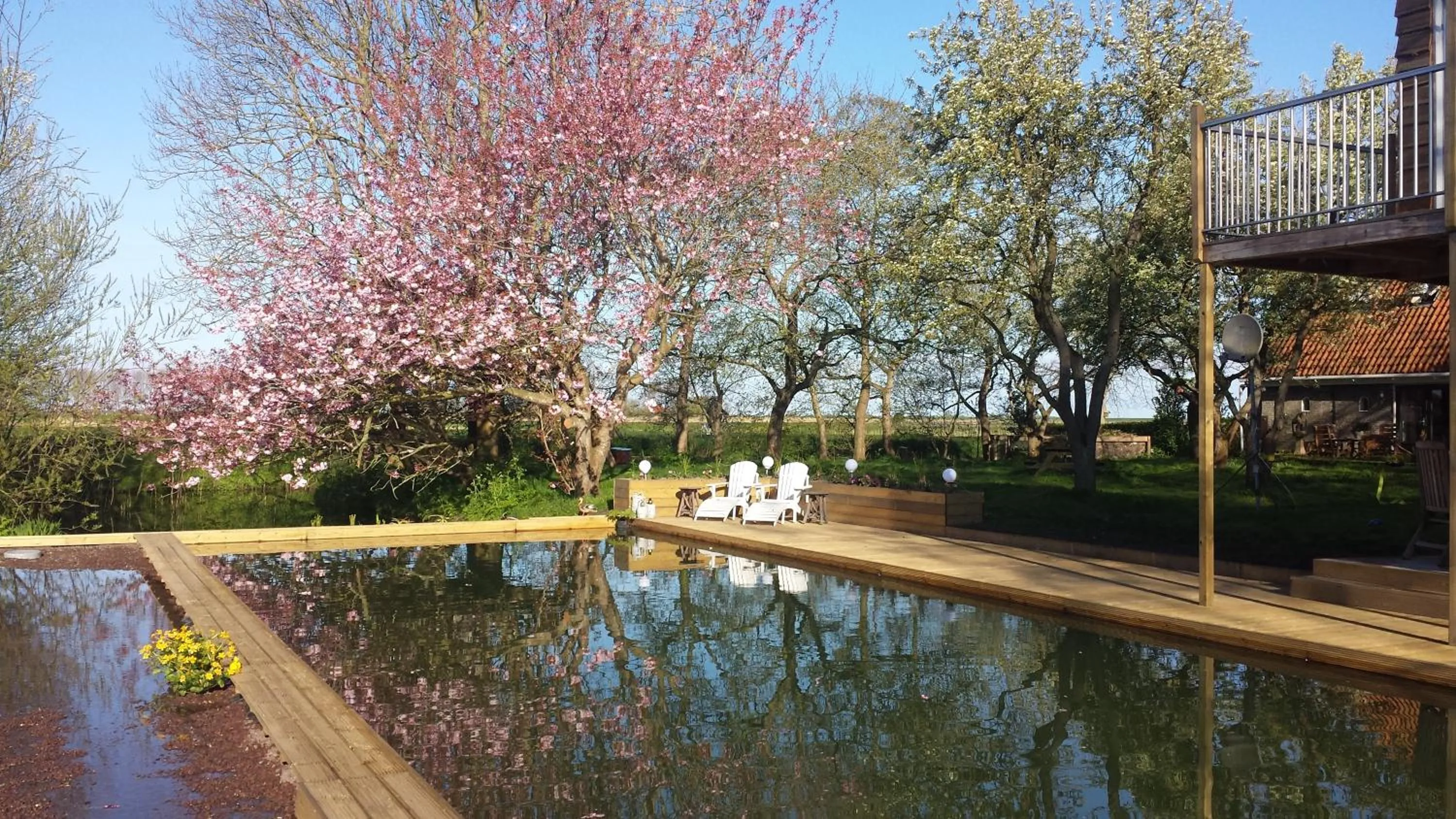 Balcony/Terrace in B&B Welgelegen