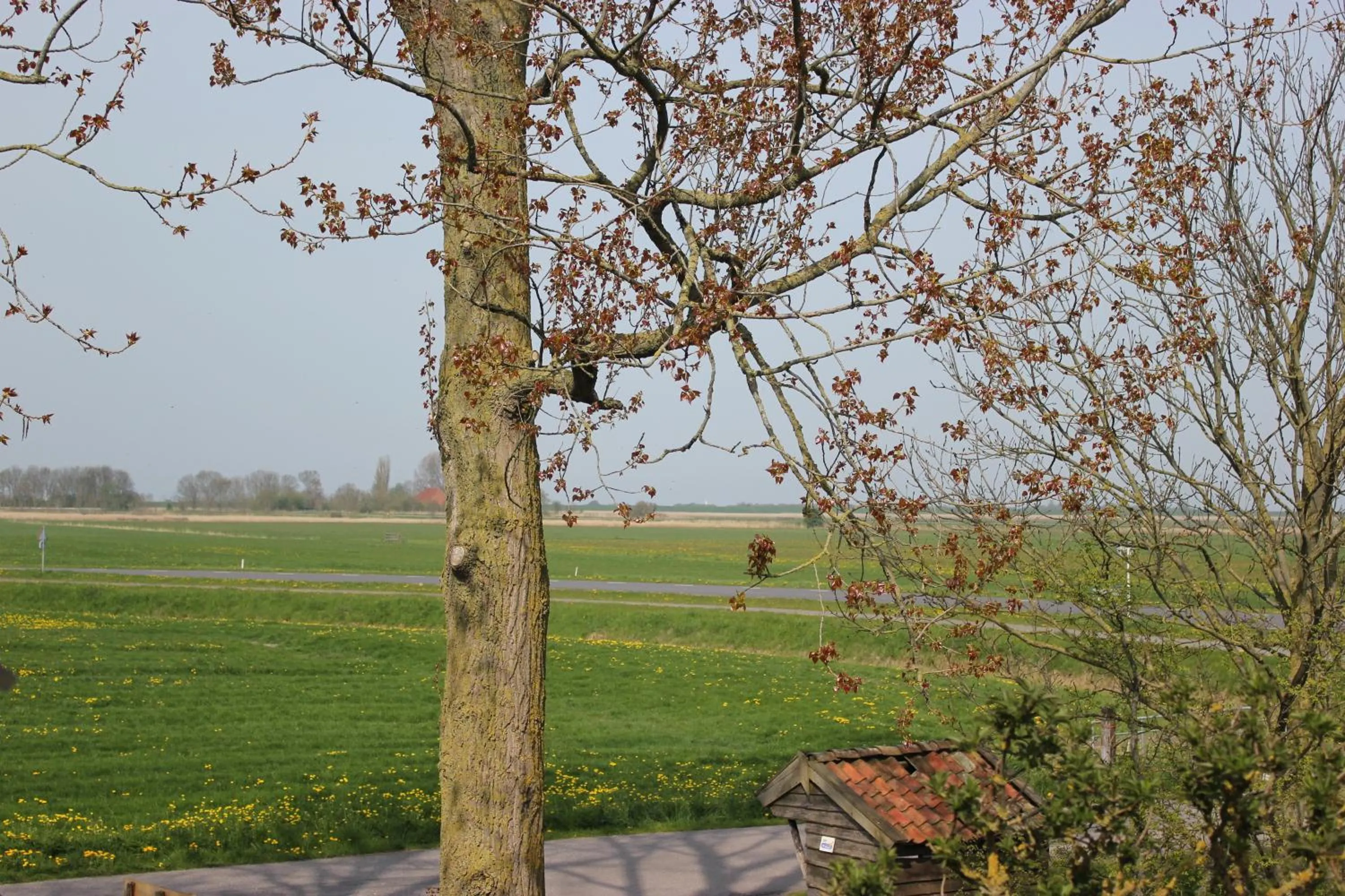 View (from property/room) in B&B Welgelegen