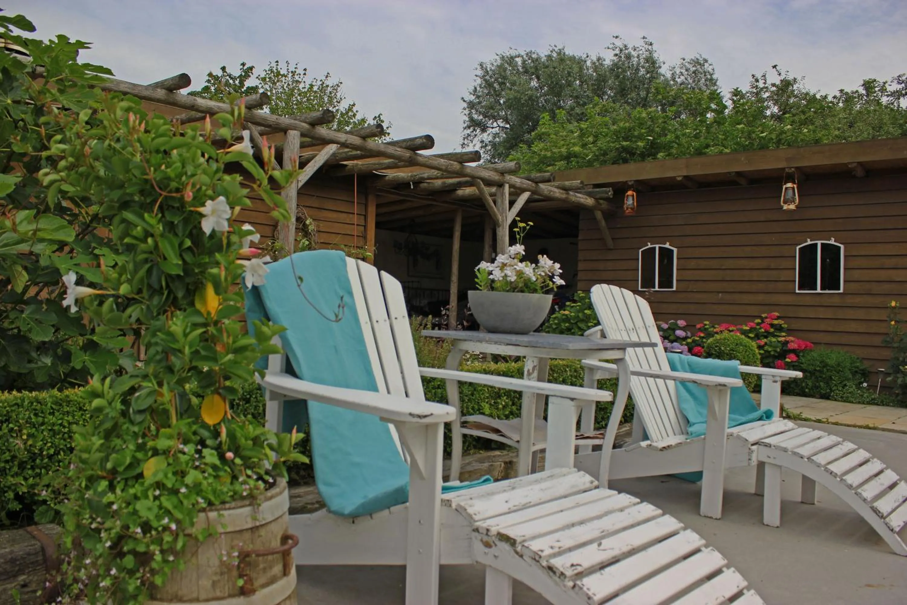 Garden in B&B Welgelegen