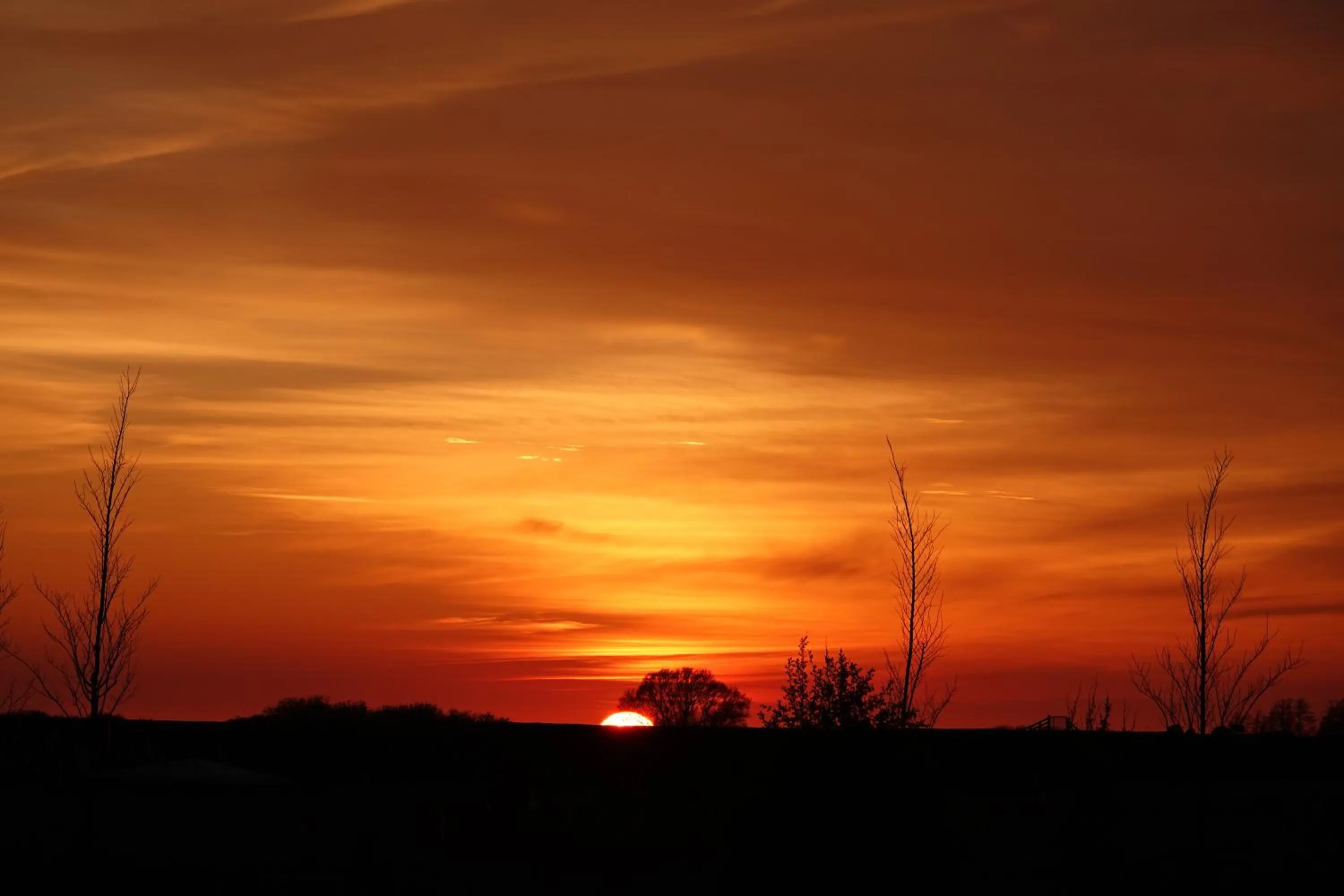 Summer in B&B Welgelegen