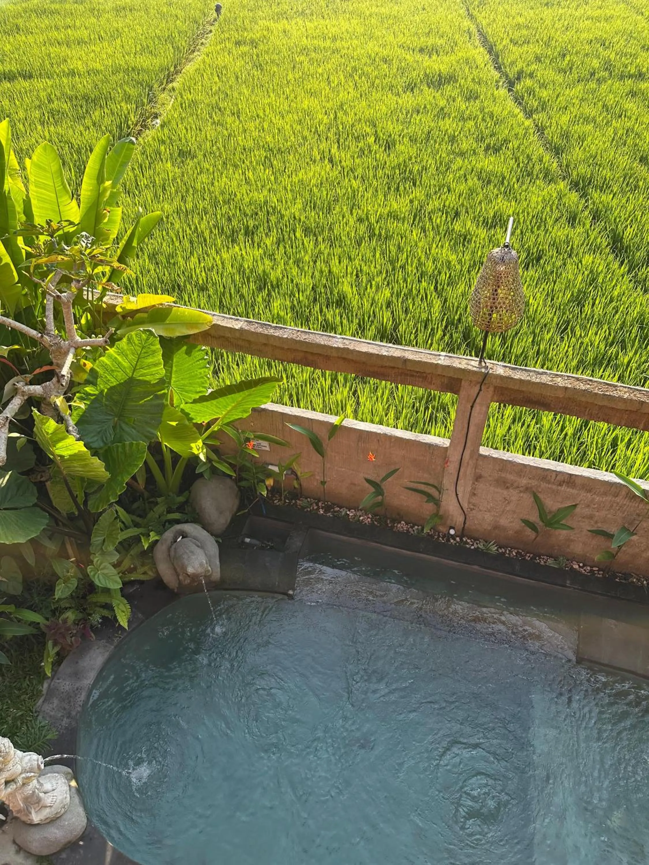 Natural landscape in Aditara Sebatu Villa