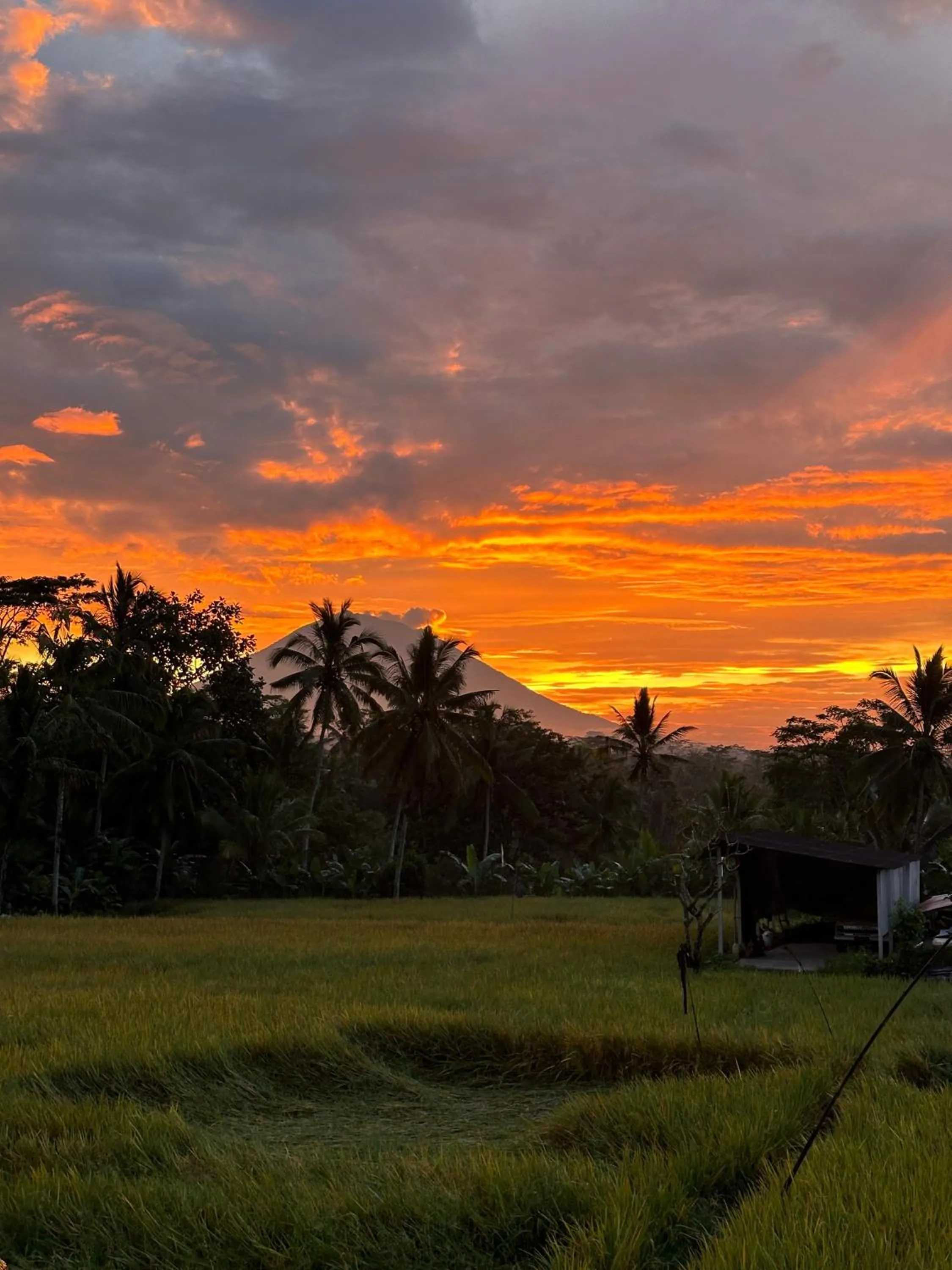 Day in Aditara Sebatu Villa