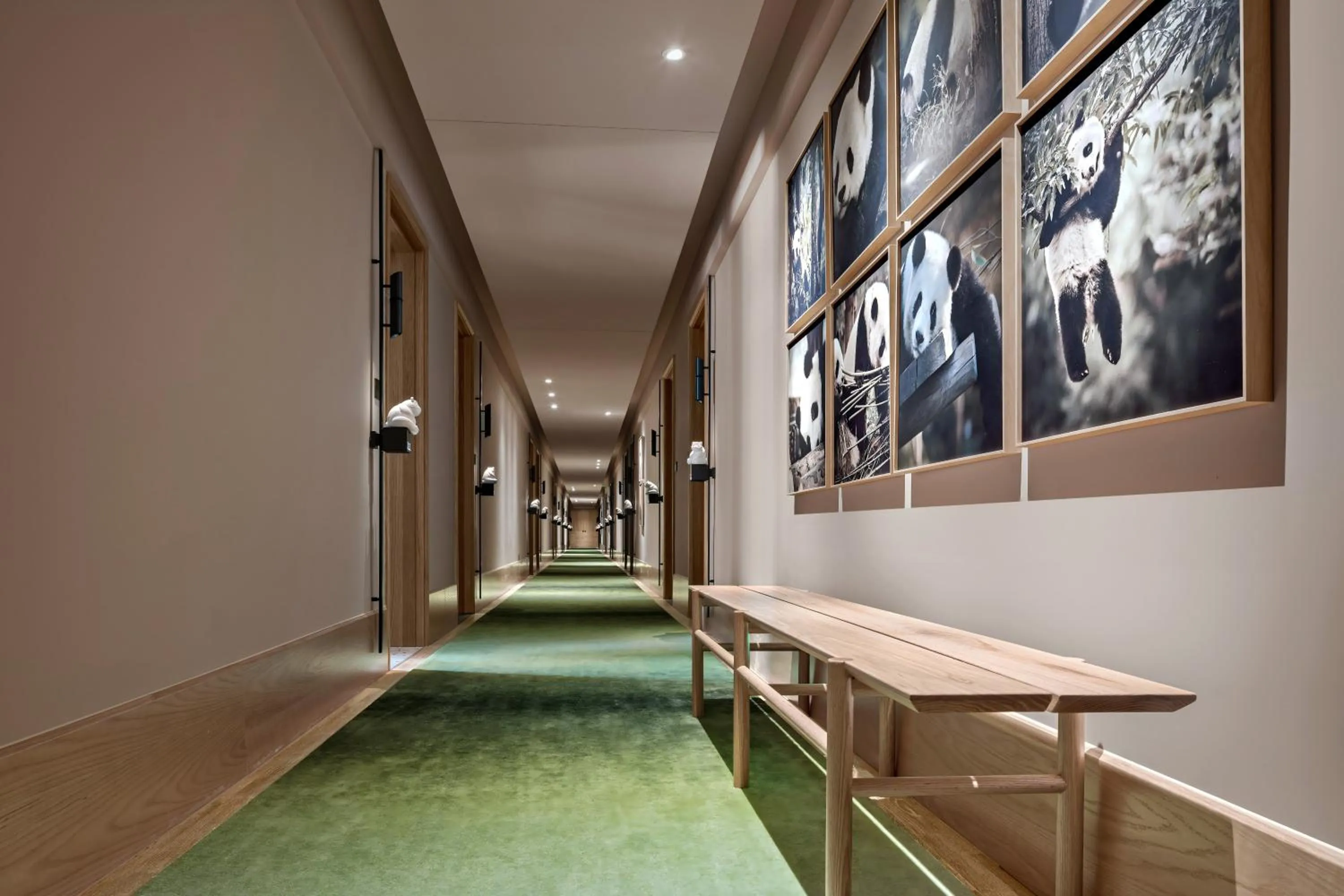 Seating area in Panda Hotel
