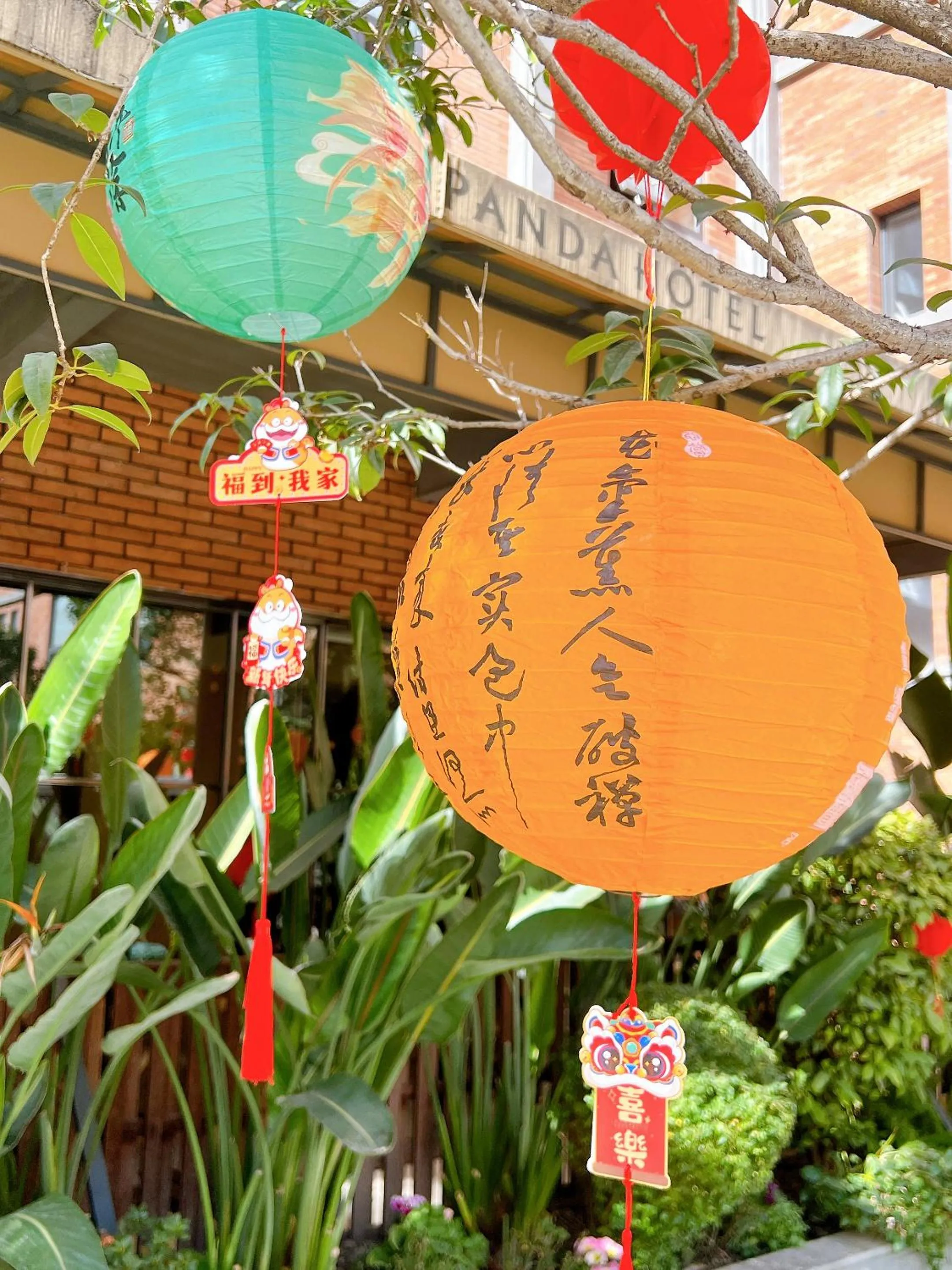 Garden view in Panda Hotel