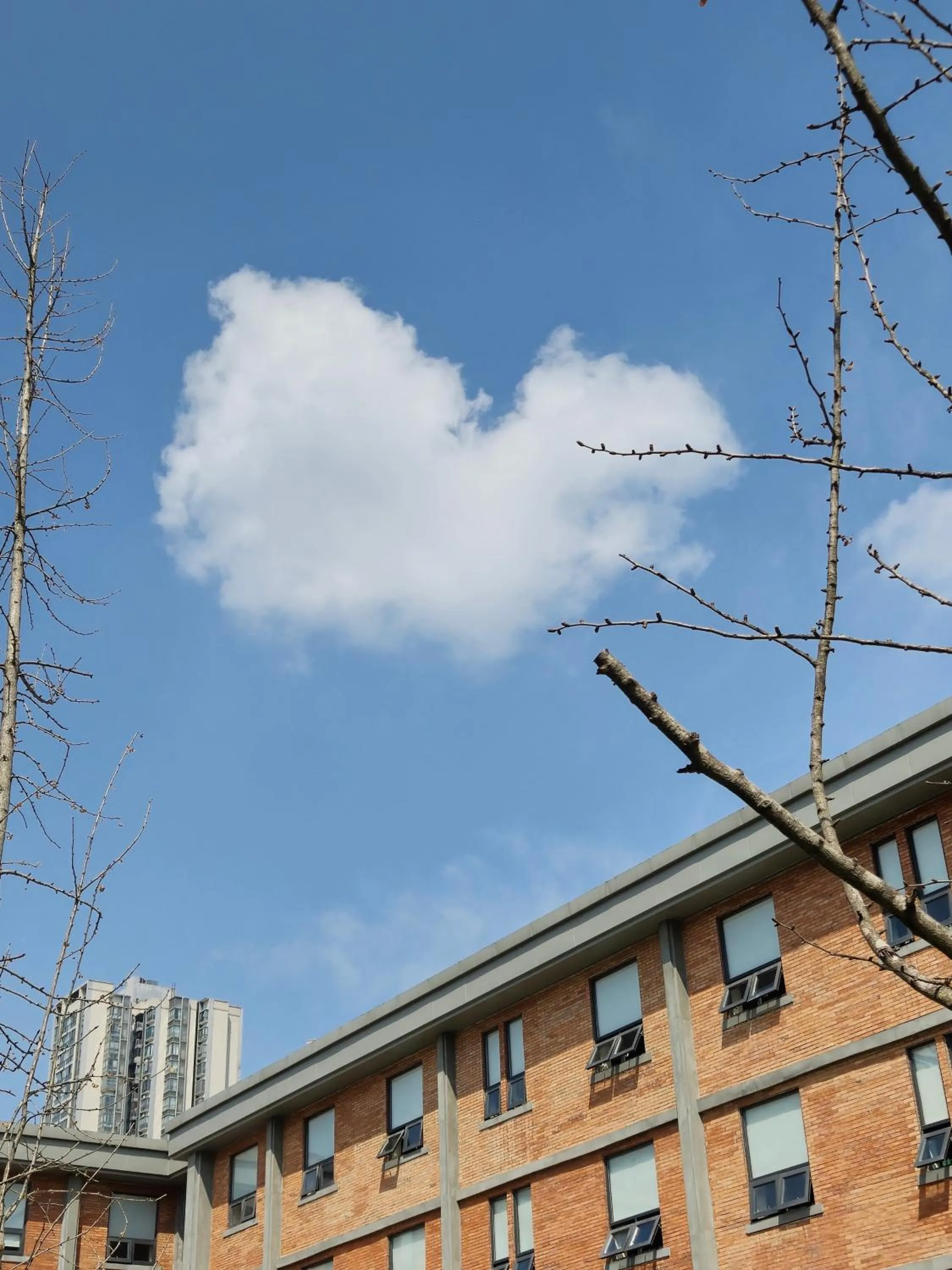 Property building in Panda Hotel