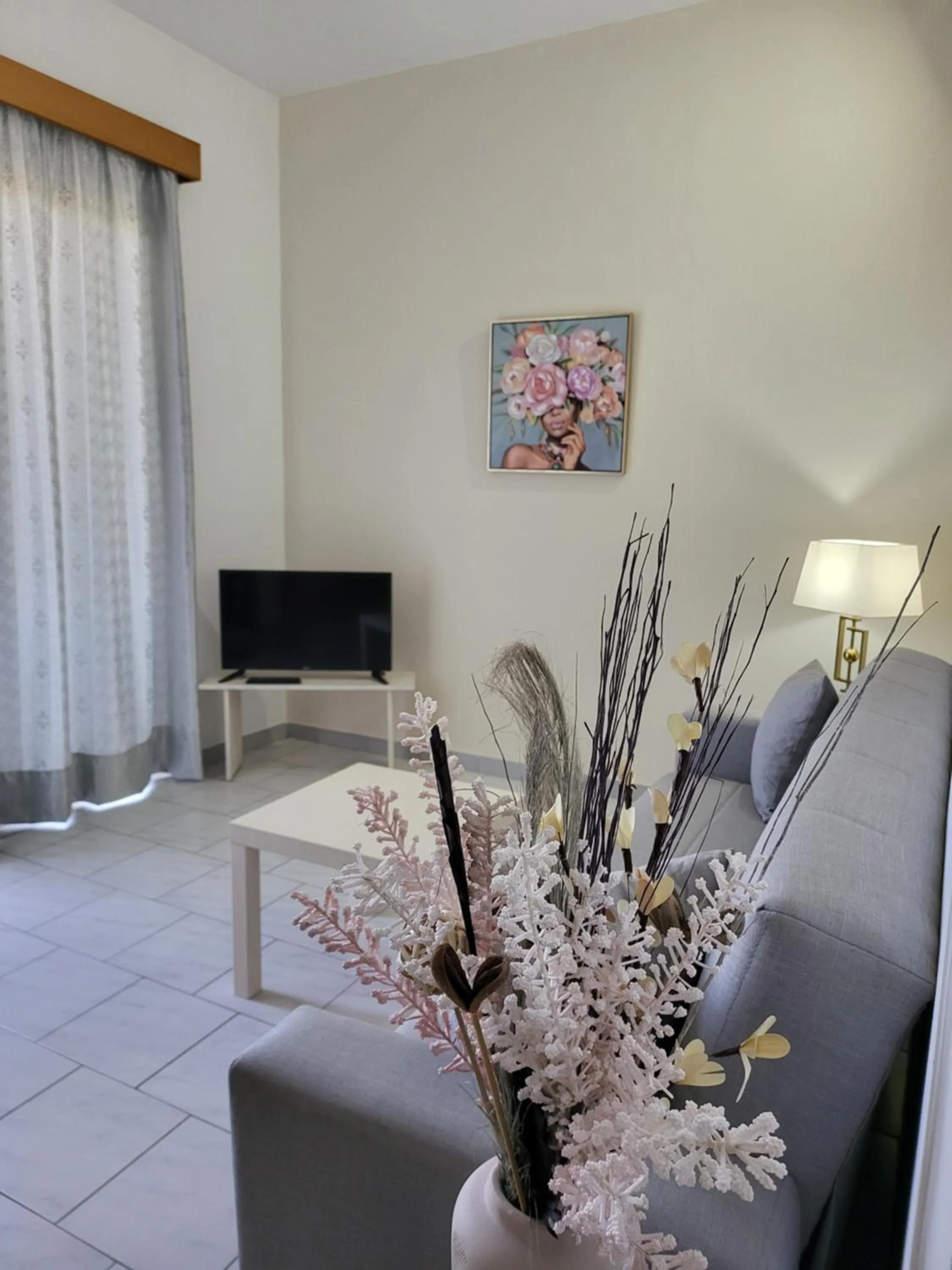 TV and multimedia in Pyrgos Hotel Apartments