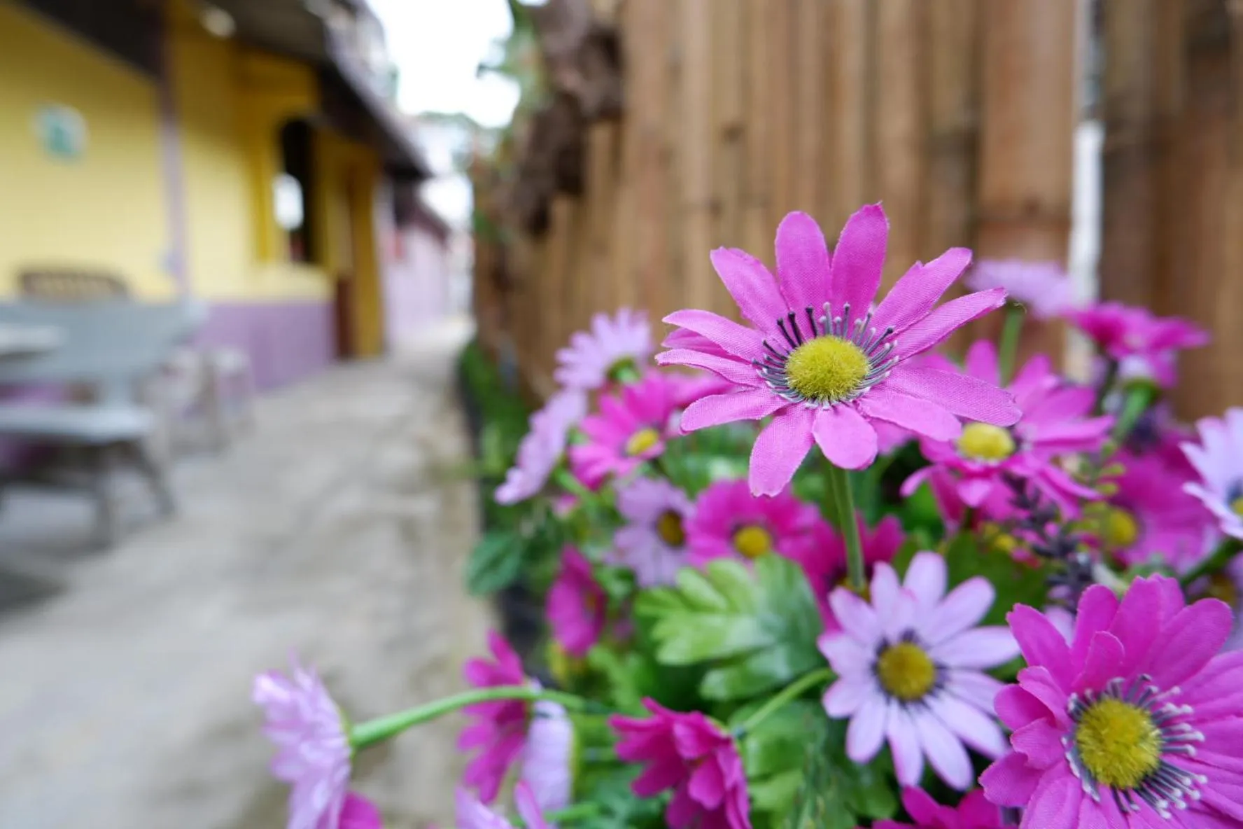 Marina hut guest house